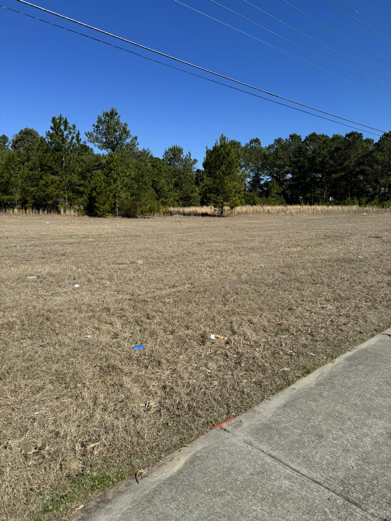 0 Dunbarton Boulevard, Barnwell, SC, 29812