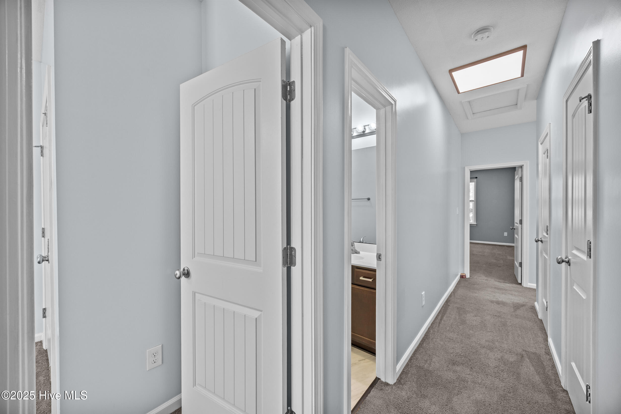 100538119 | Photo 20