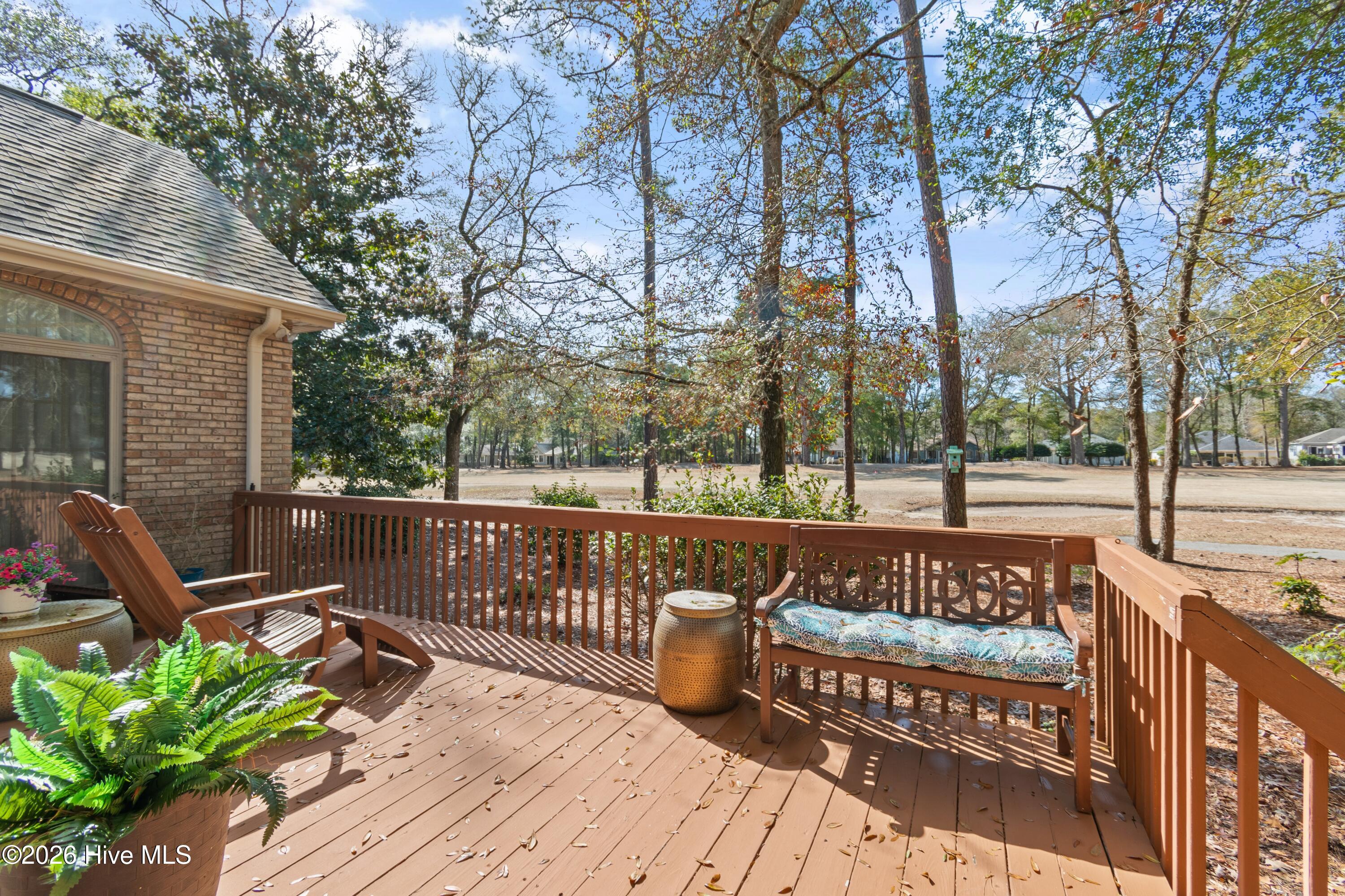 100558651 | Photo 44