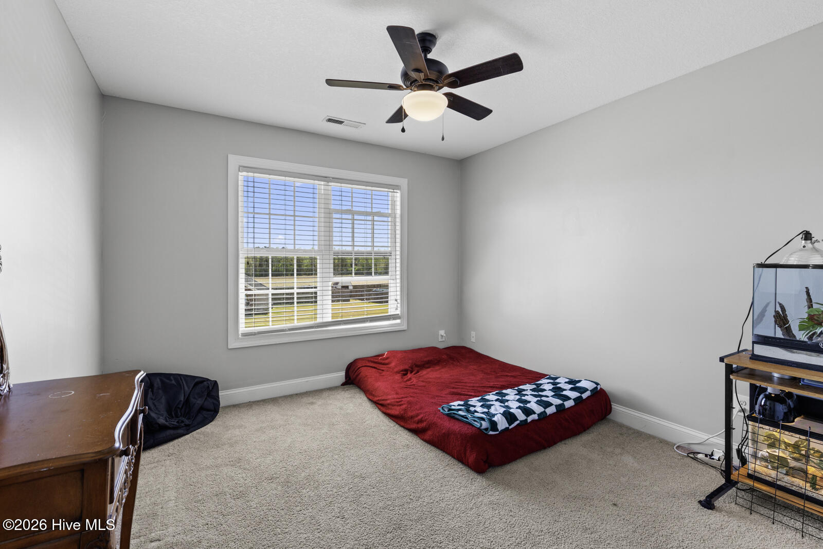 100564788 | Photo 30