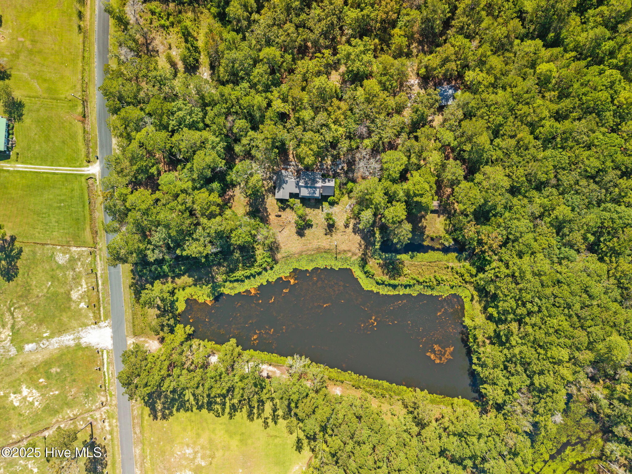 100538518 | Photo 21