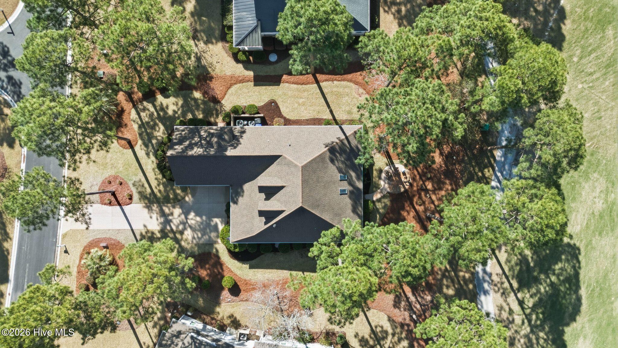 100564432 | Photo 94