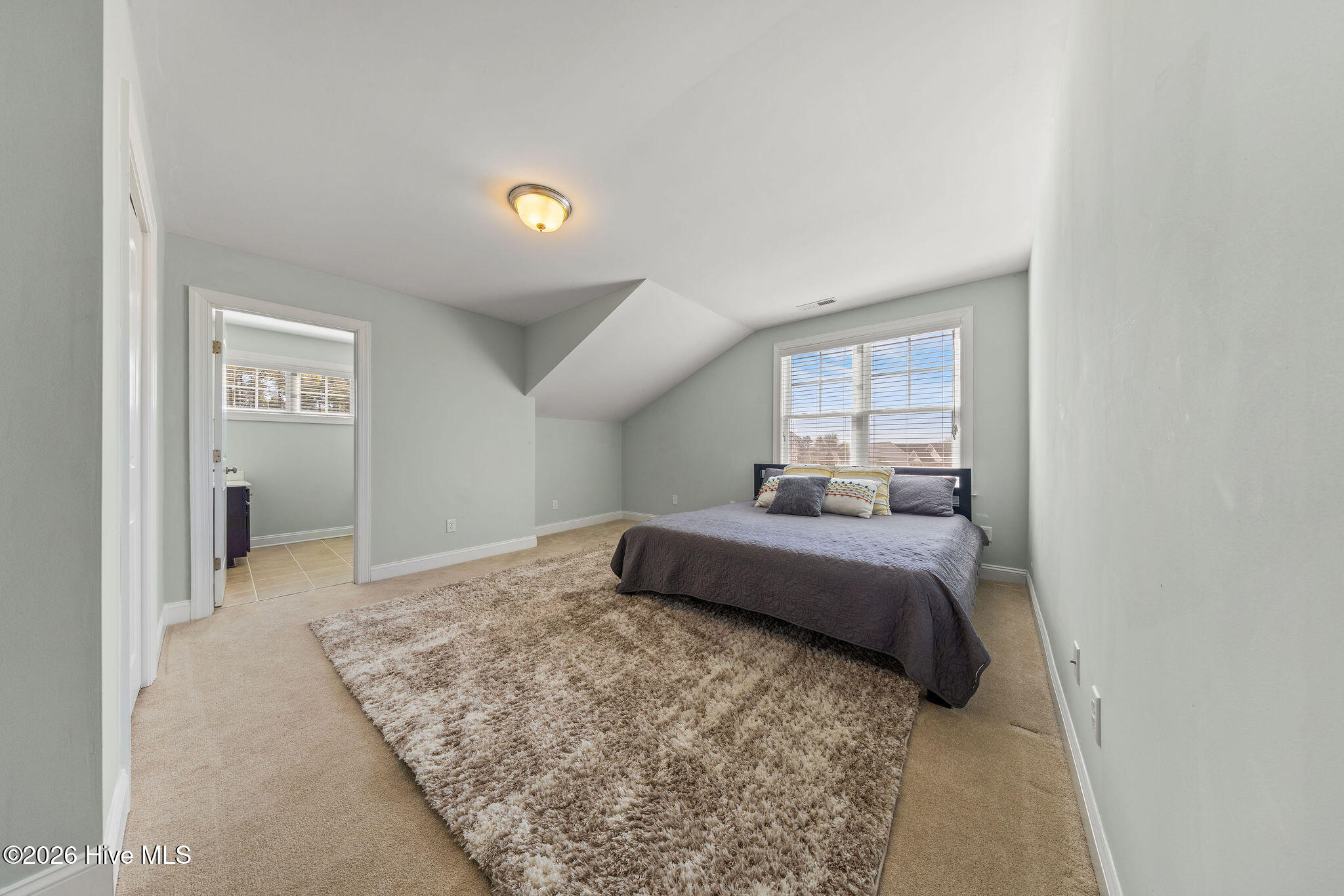 100554608 | Photo 28