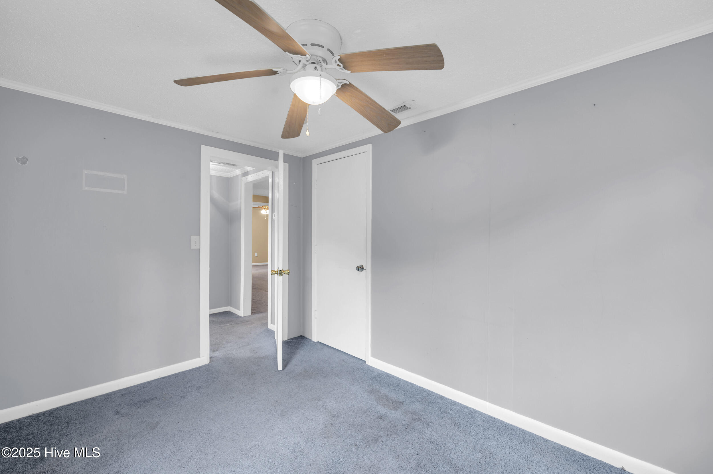 100538812 | Photo 21