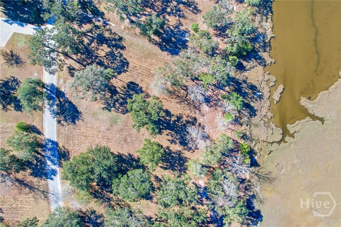 LOT 4 Bermuda Bluff Lane, Midway, GA, 31320