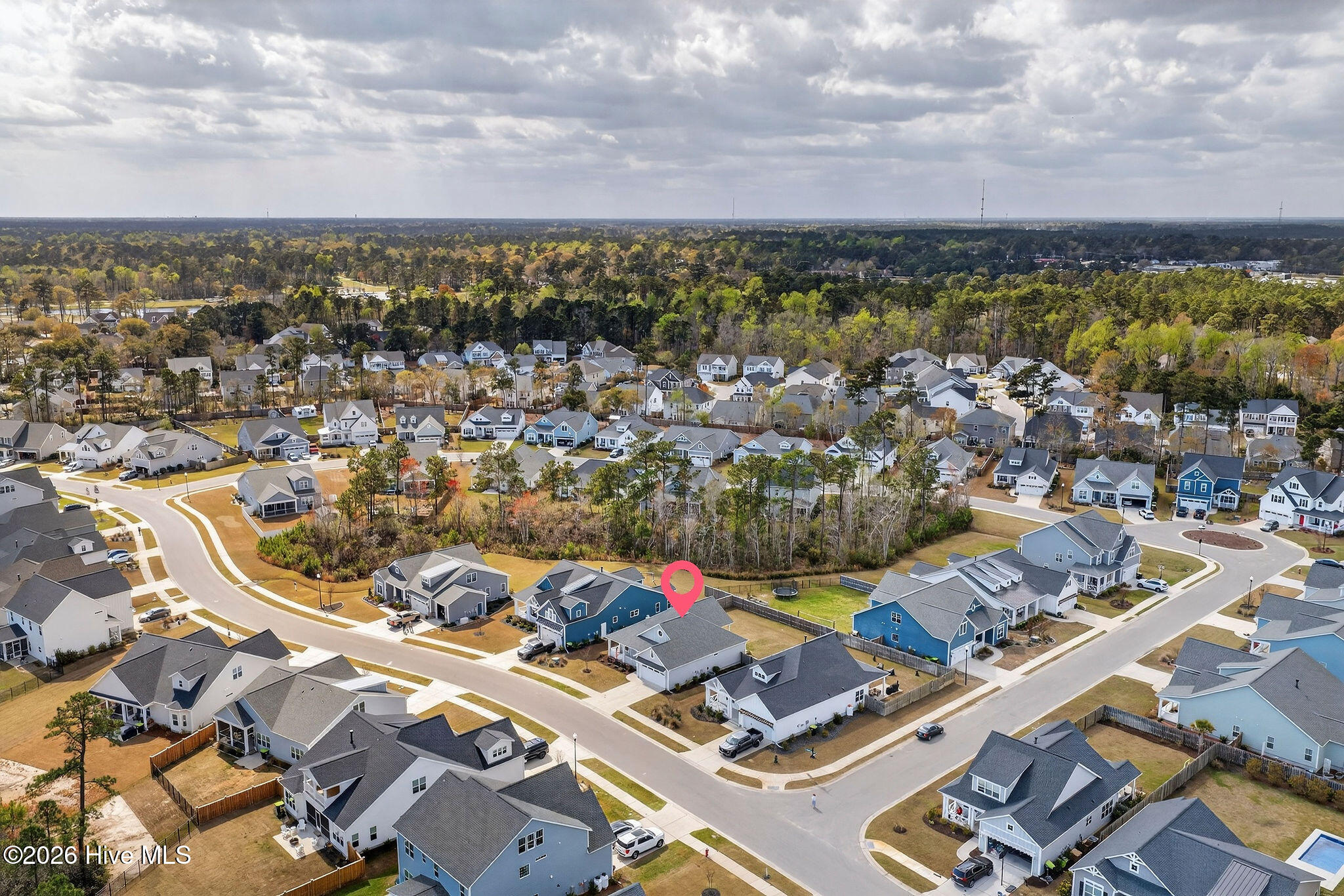 100563102 | Photo 42