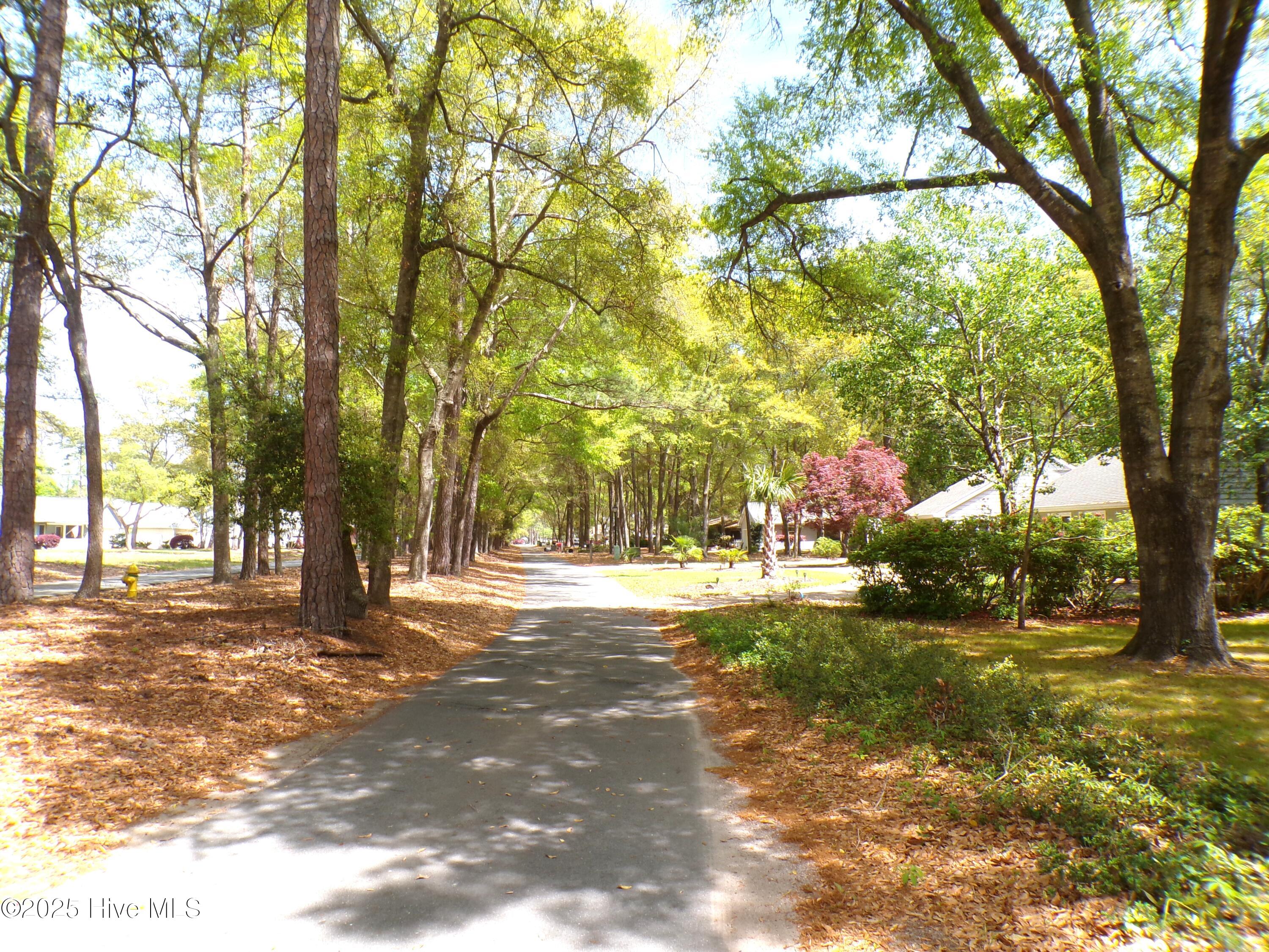 100499822 | Photo 28