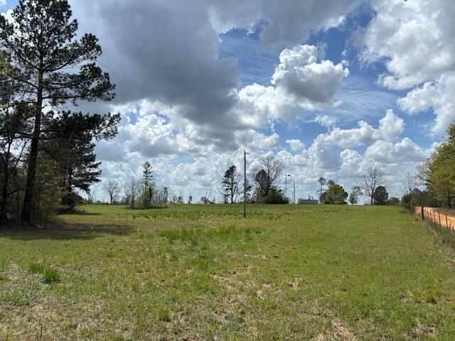 Blume Road, Mitchell, GA 30820 Listing Photo  1