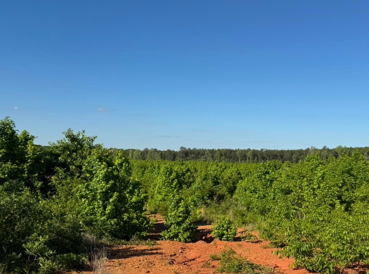 Homes for sale in Troy, SC | 30a Bowie Rd, Troy, SC 29848 | MLS# 549699