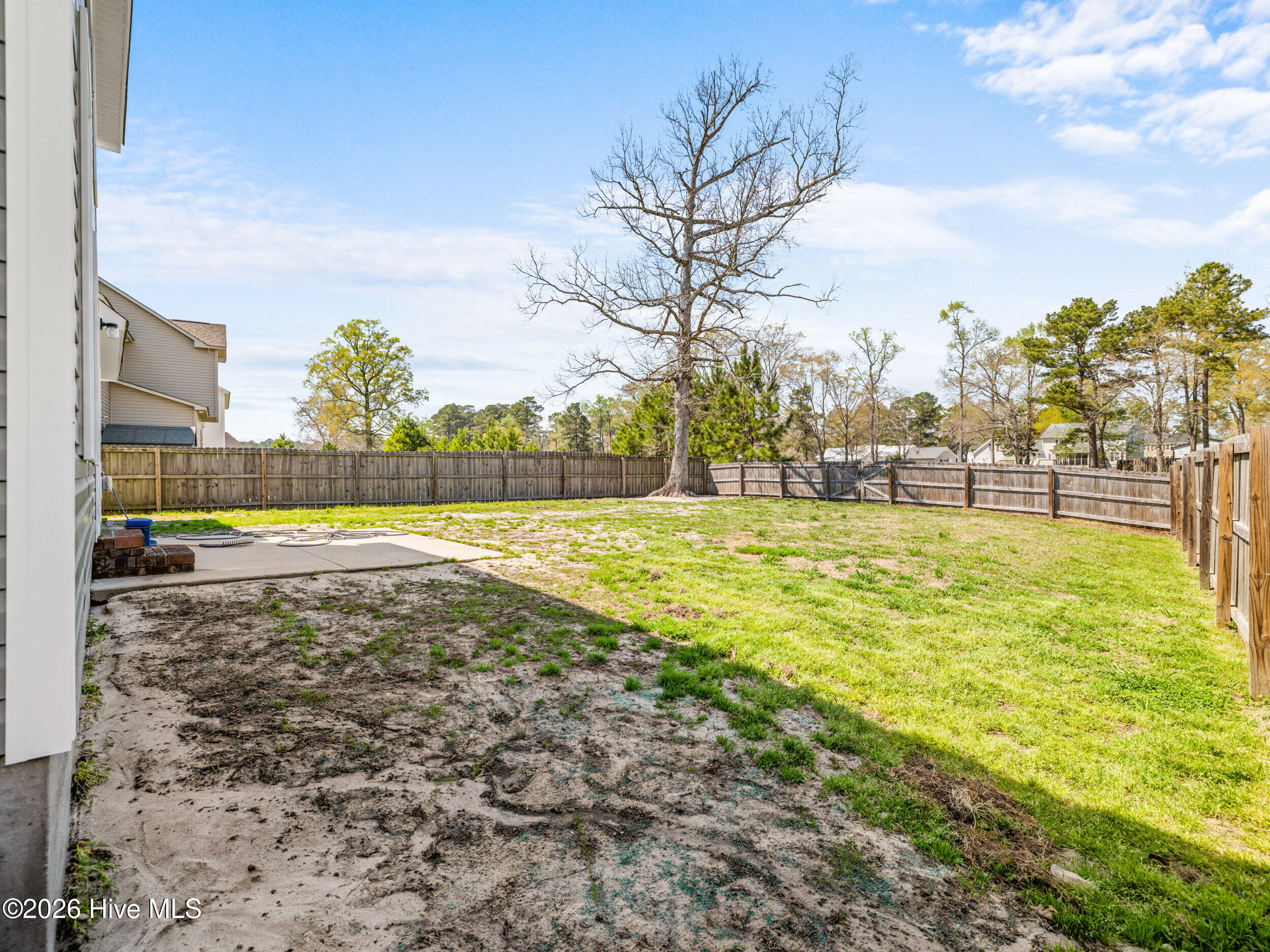 100565211 | Photo 11