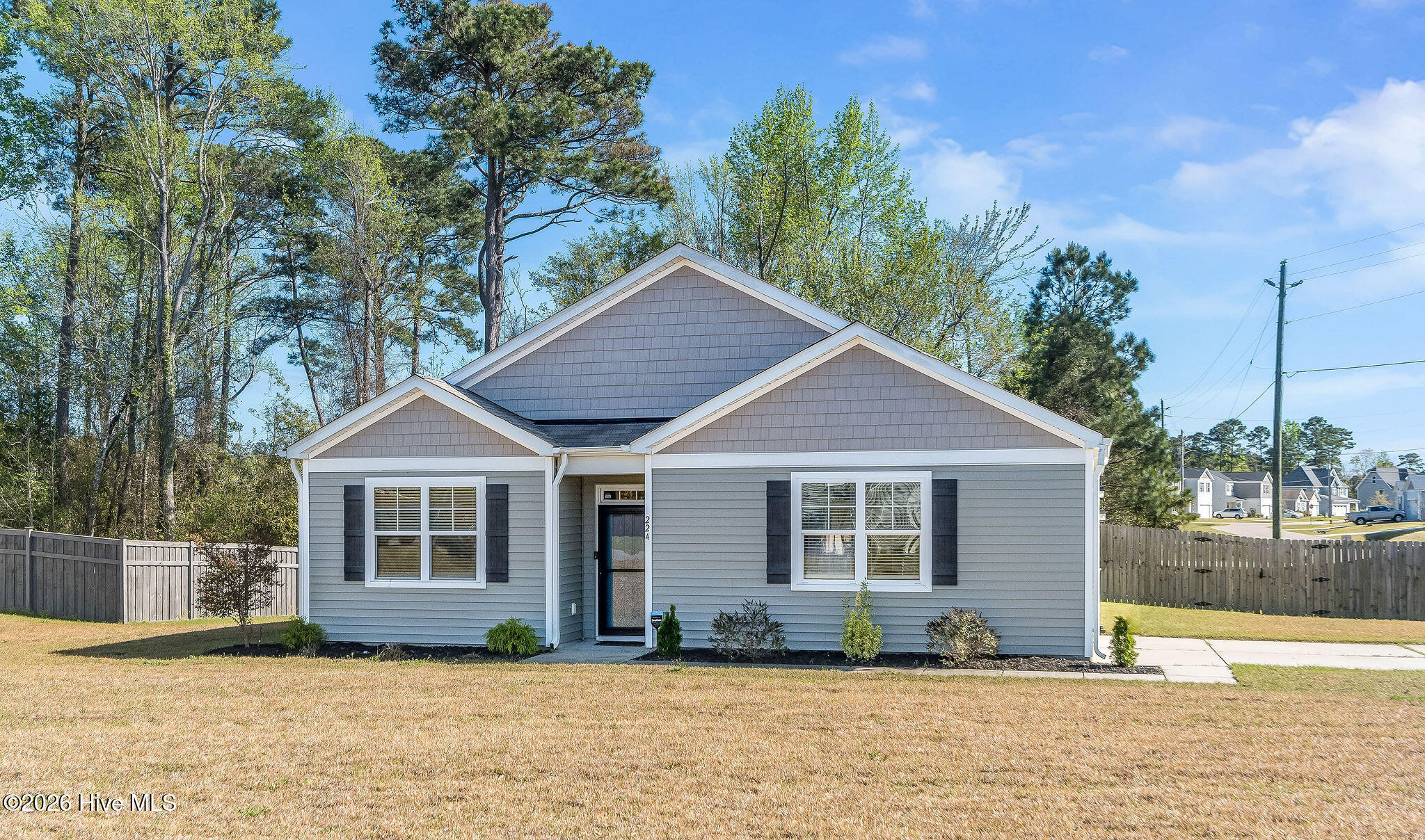 100562701 | Photo 53