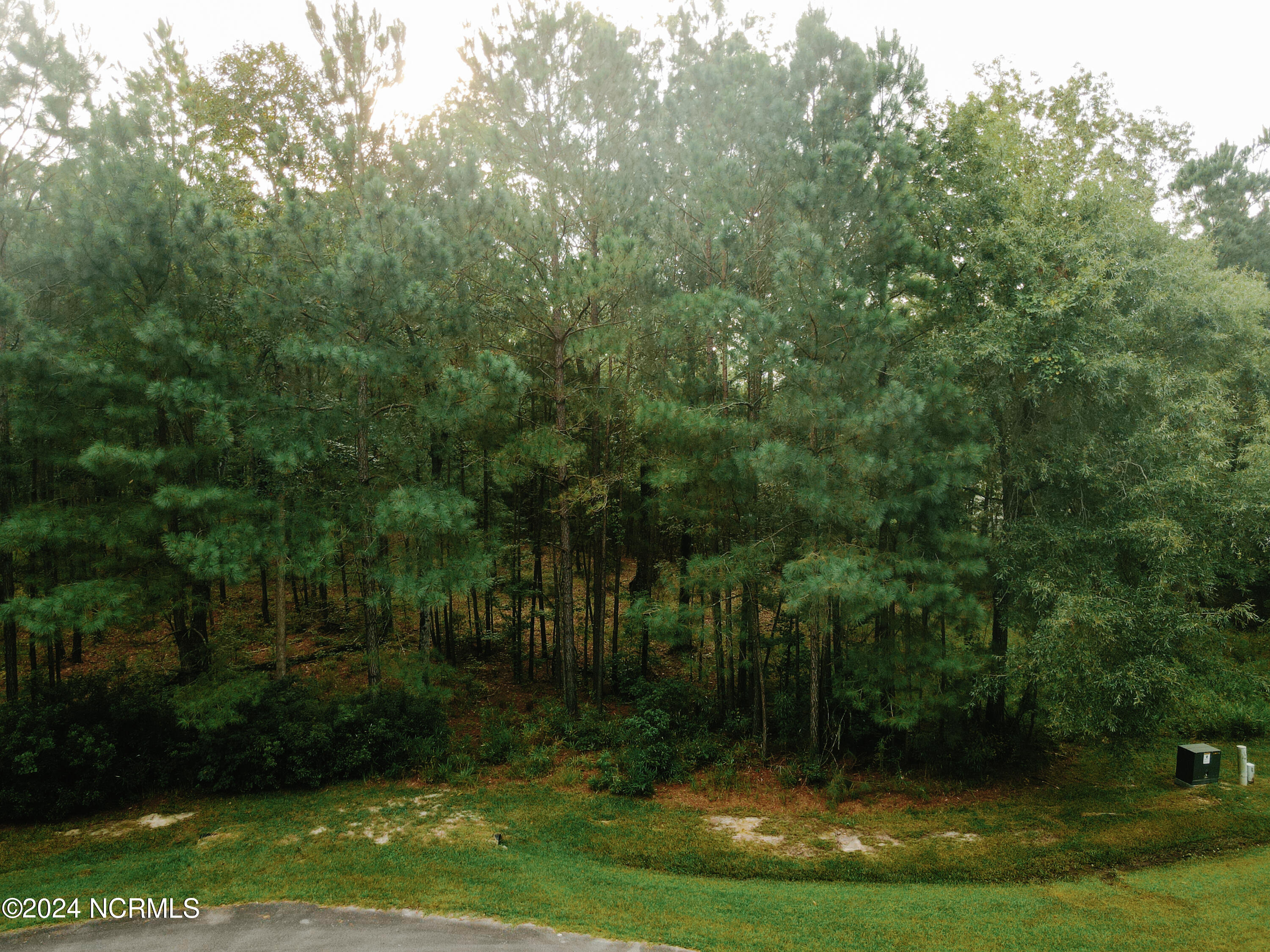 3 Alexander, Belhaven, North Carolina, 0 ,Residential land,For sale,Alexander,100463139
