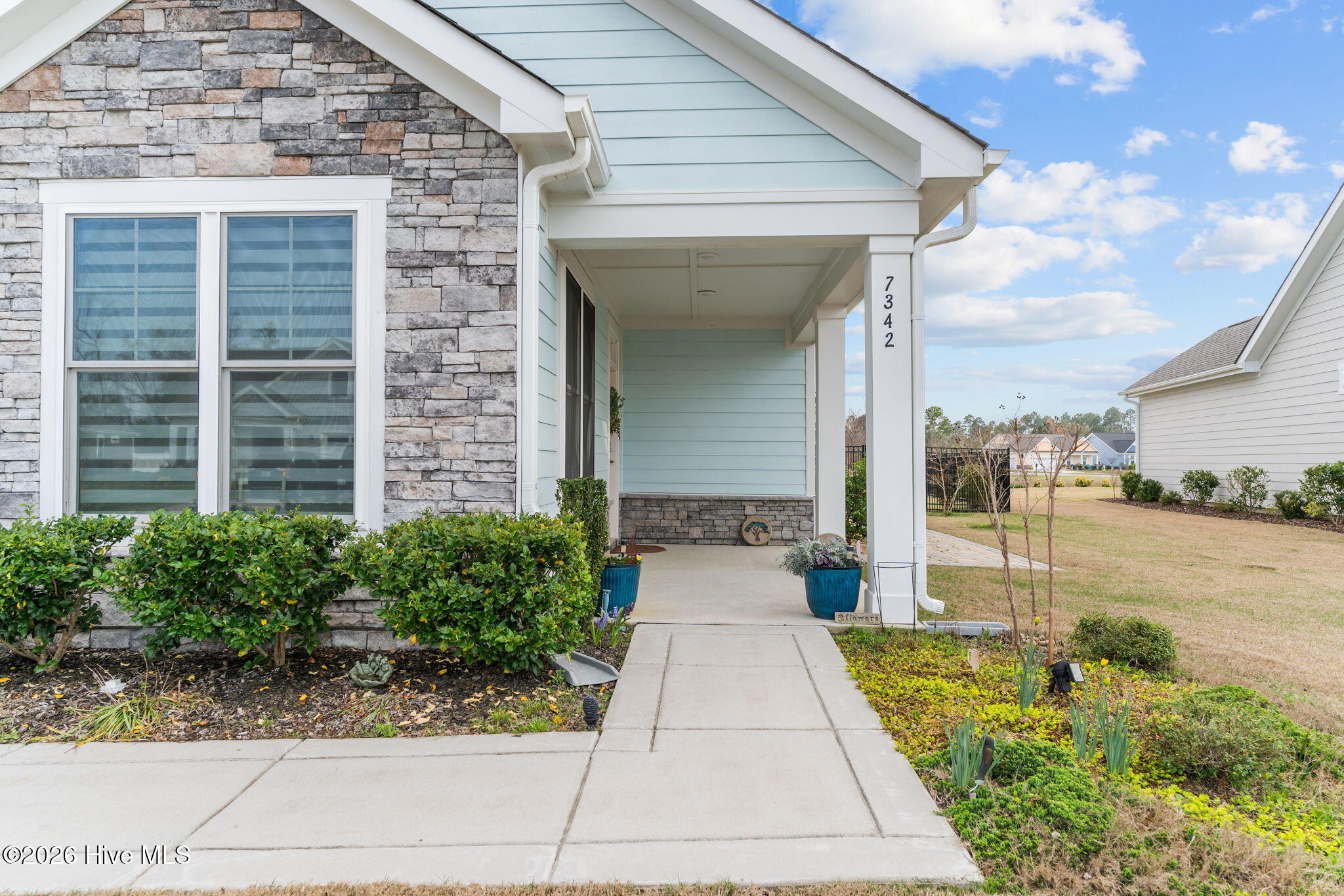 100559124 | Photo 50