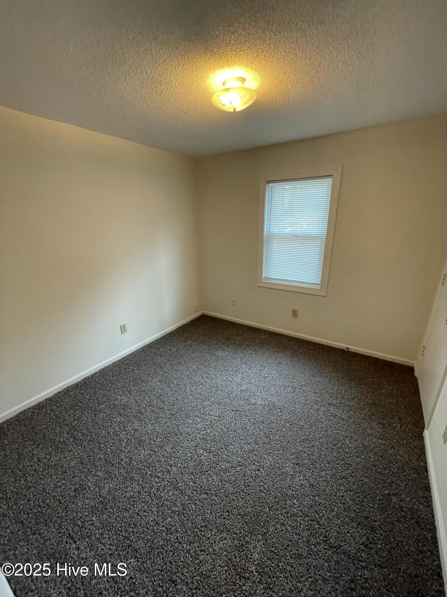 100544431 | Photo 12