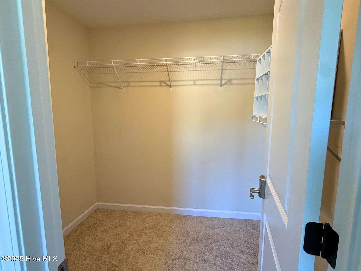 100542063 | Photo 21