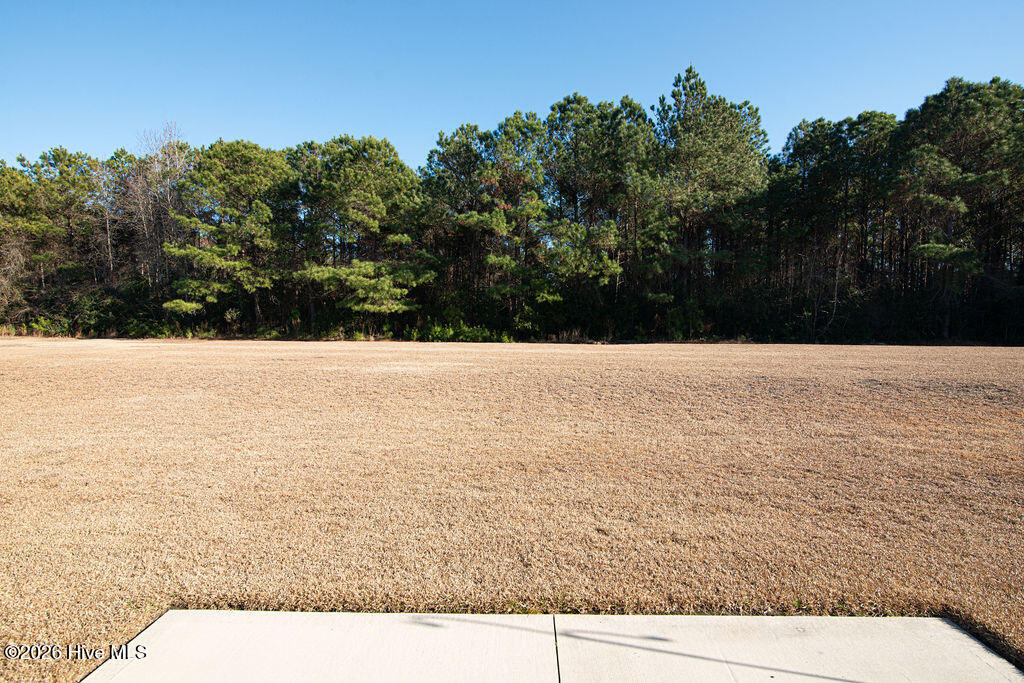 100552779 | Photo 49