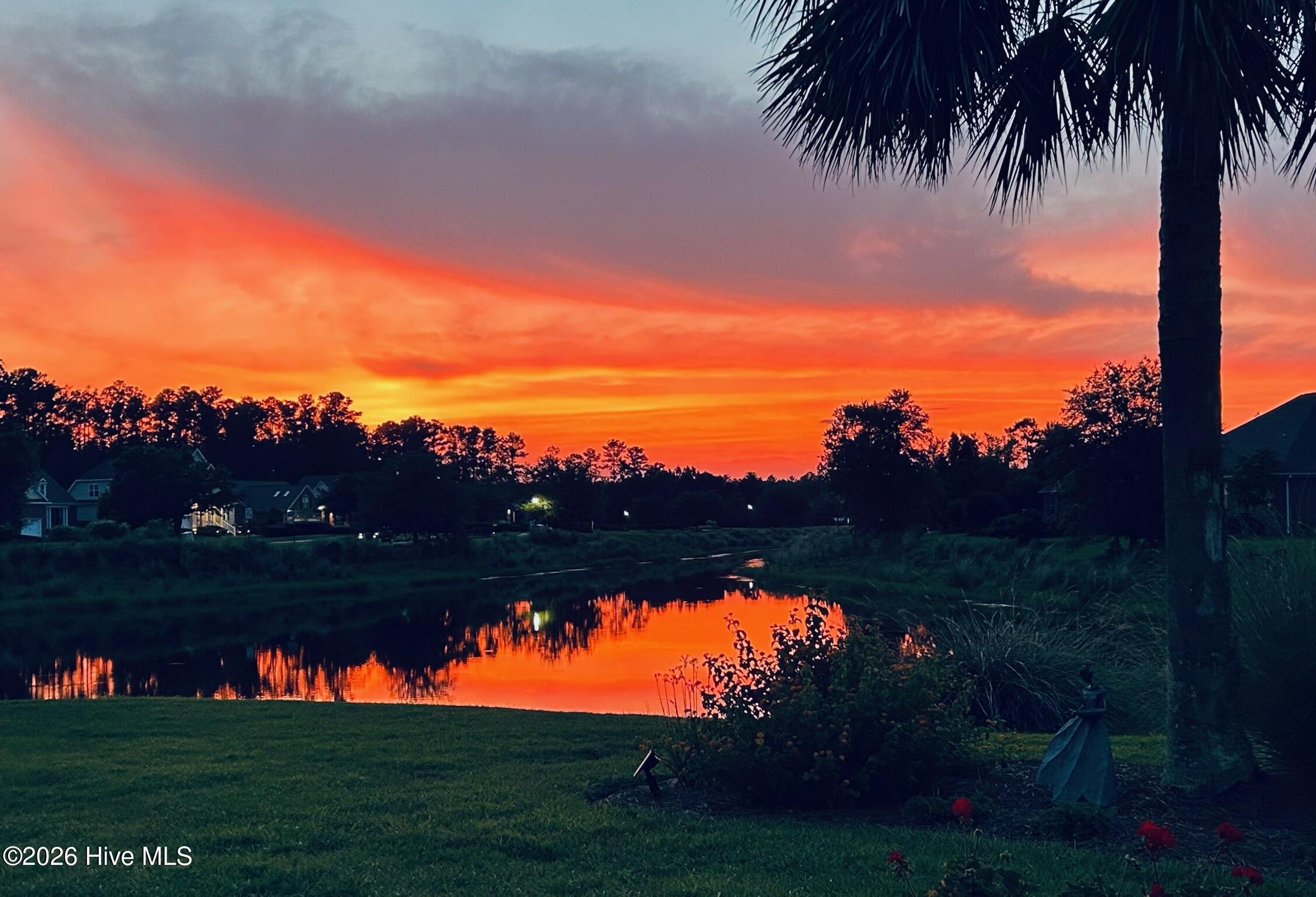 100558874 | Photo 43