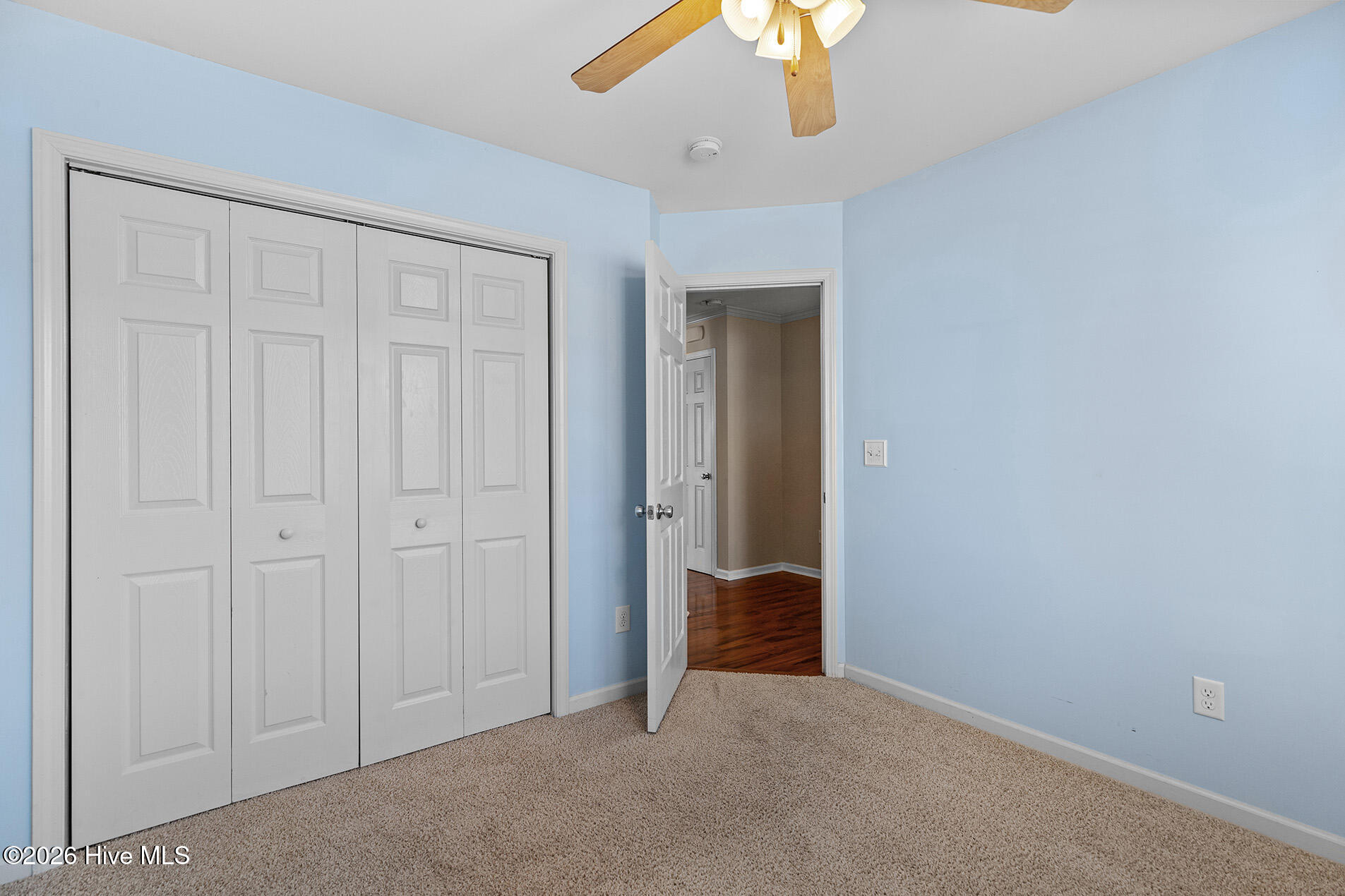 100551250 | Photo 23