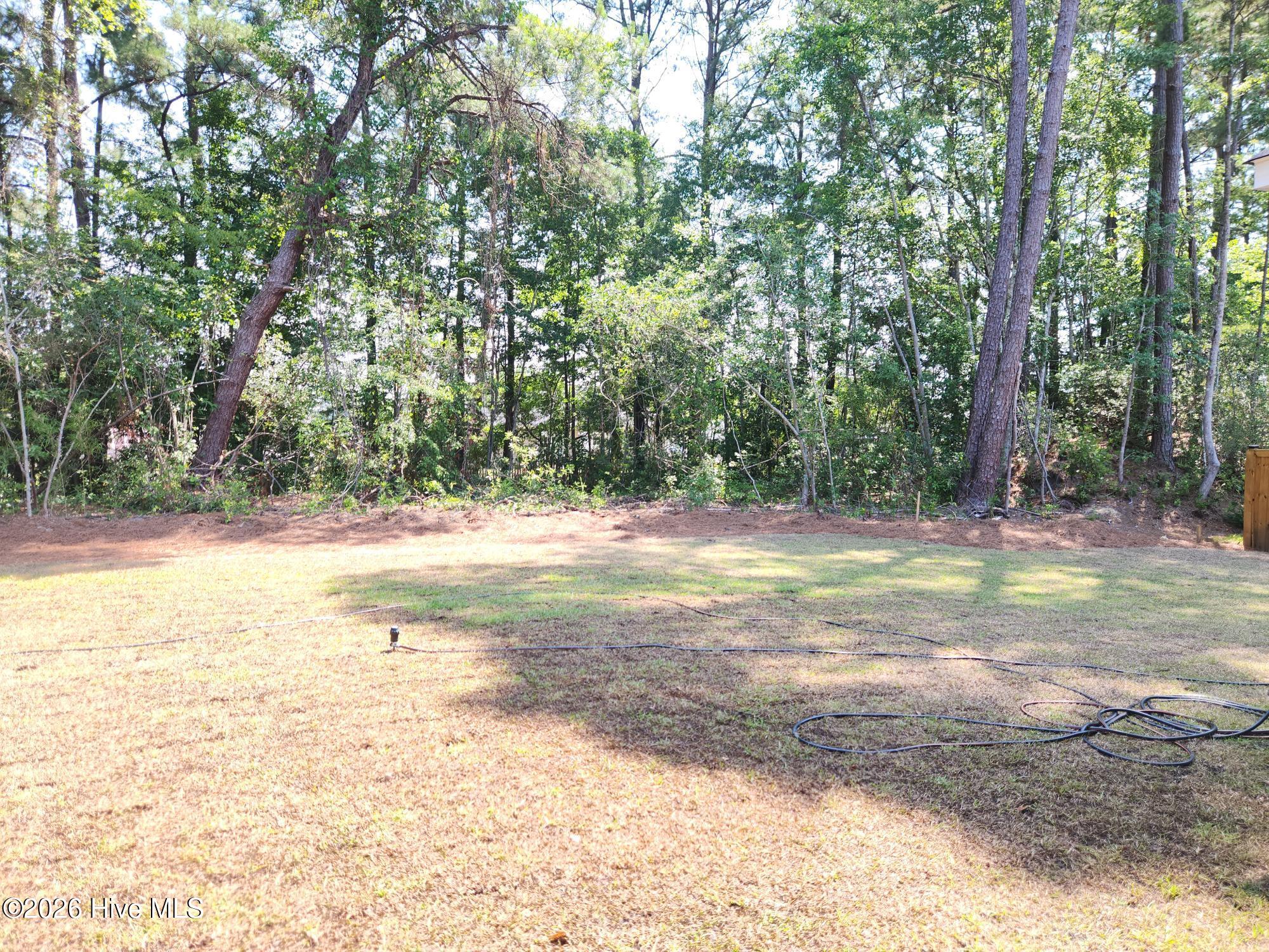 100580446 | Photo 46