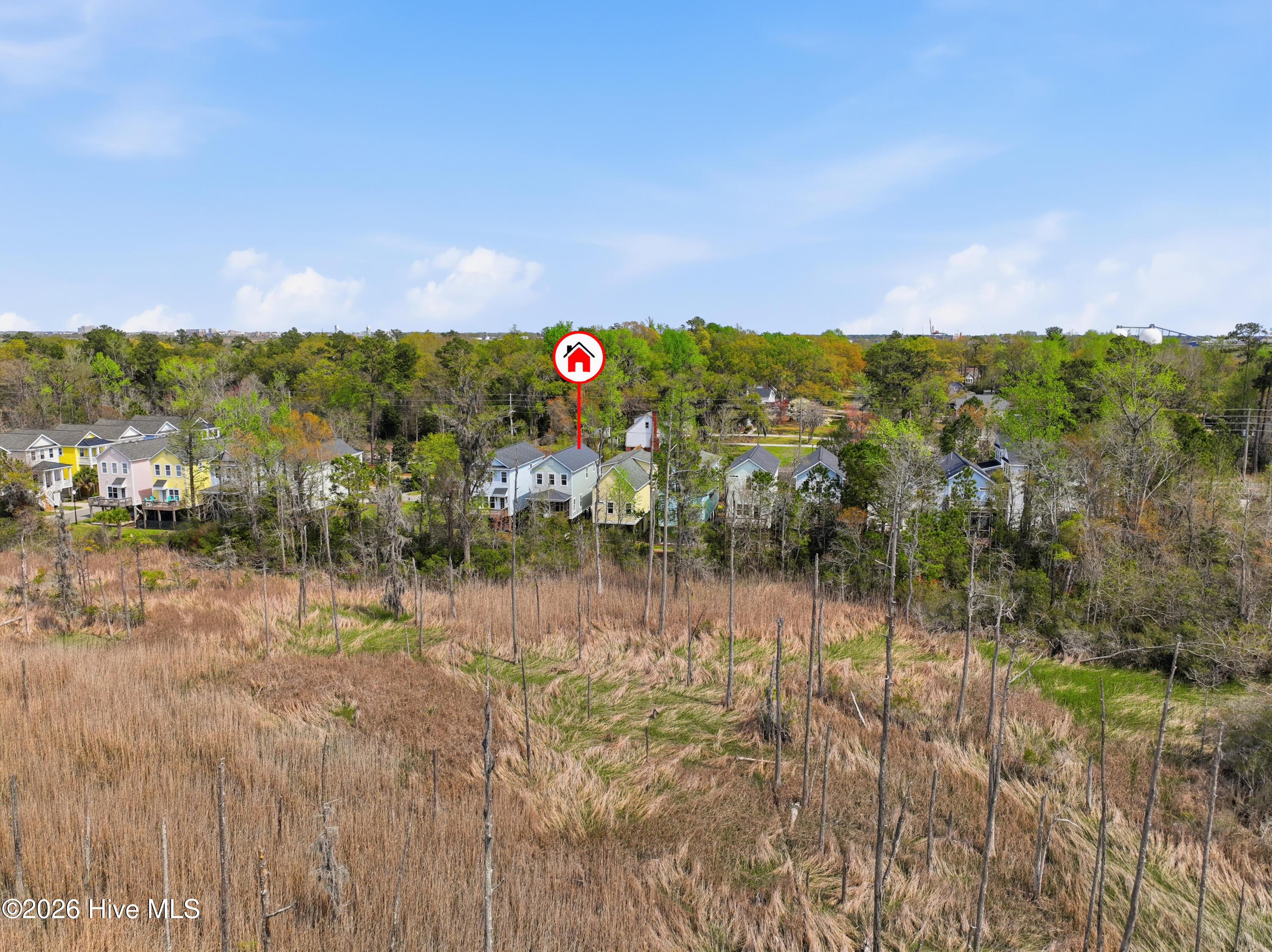 100563729 | Photo 64