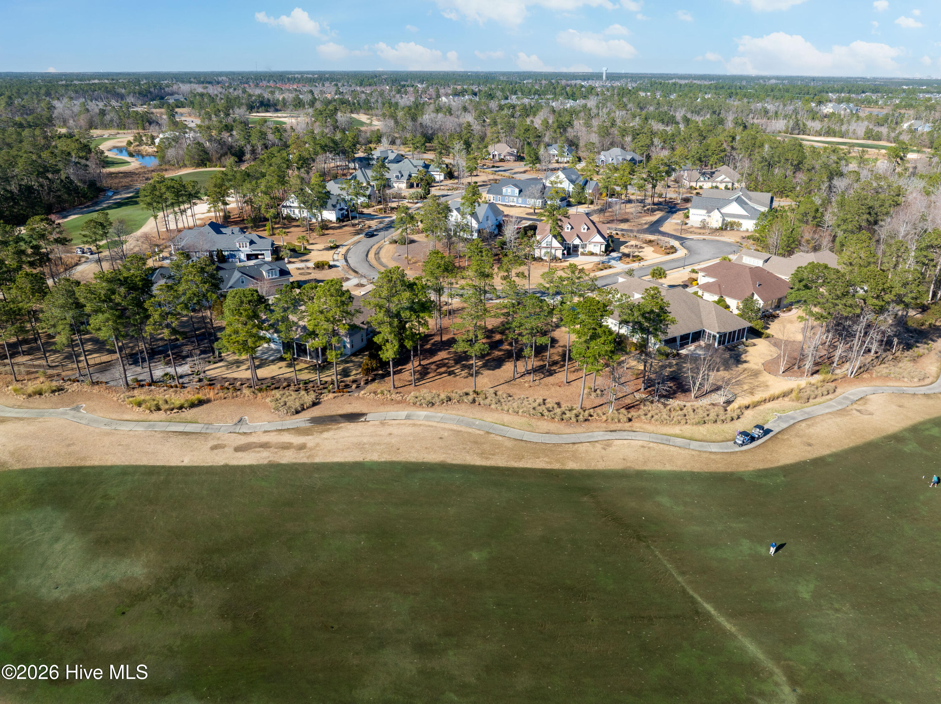 100557146 | Photo 23