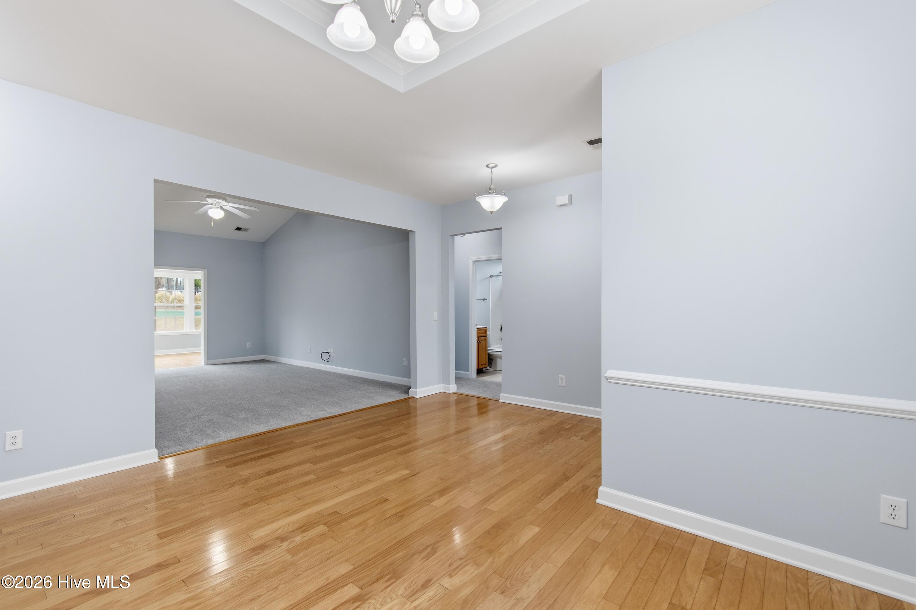 100555748 | Photo 20