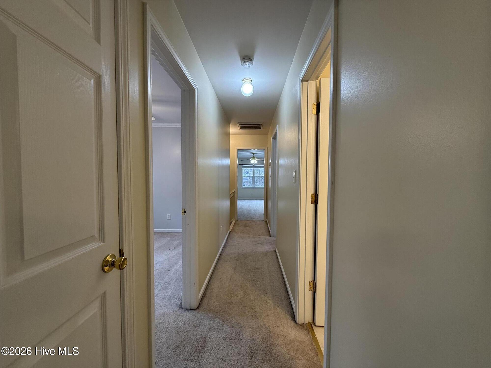 100552957 | Photo 28