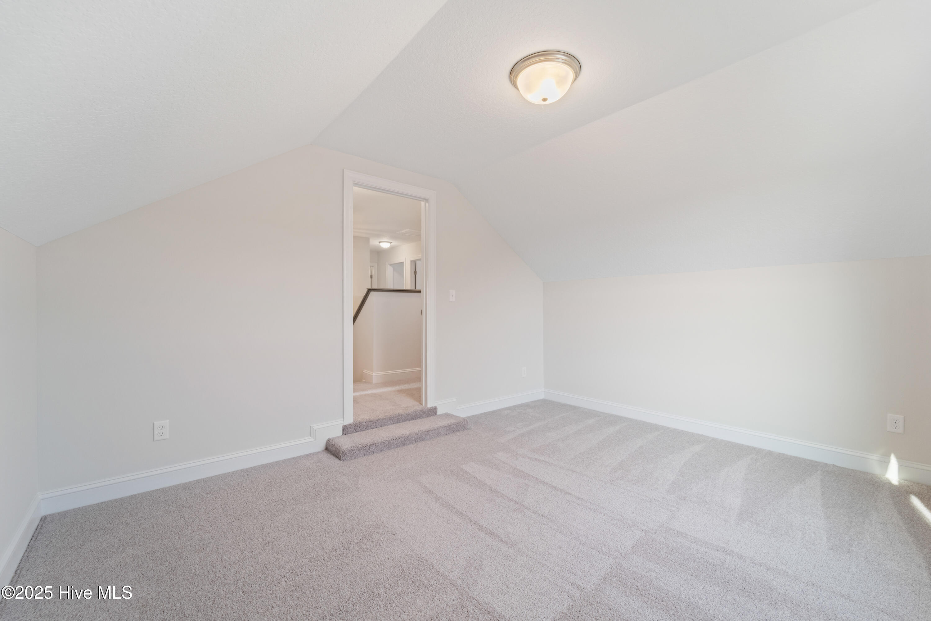 100519701 | Photo 26