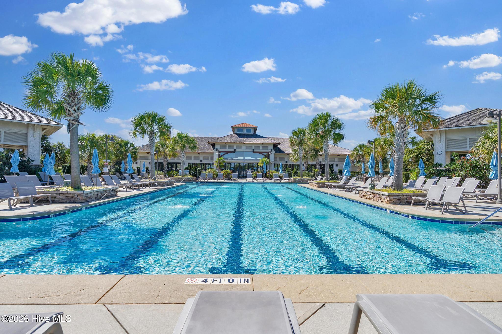 100549204 | Photo 46