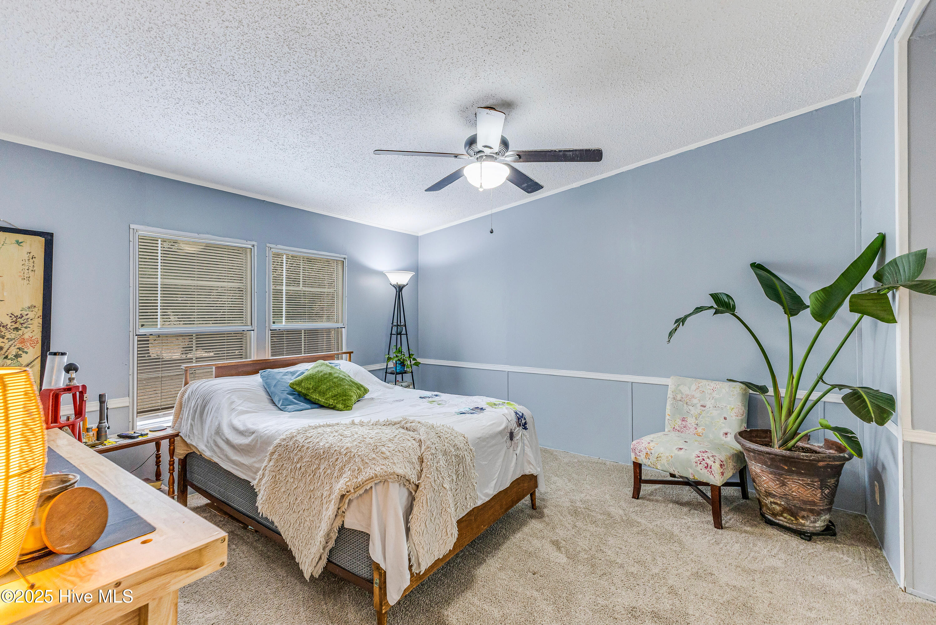 100543830 | Photo 29