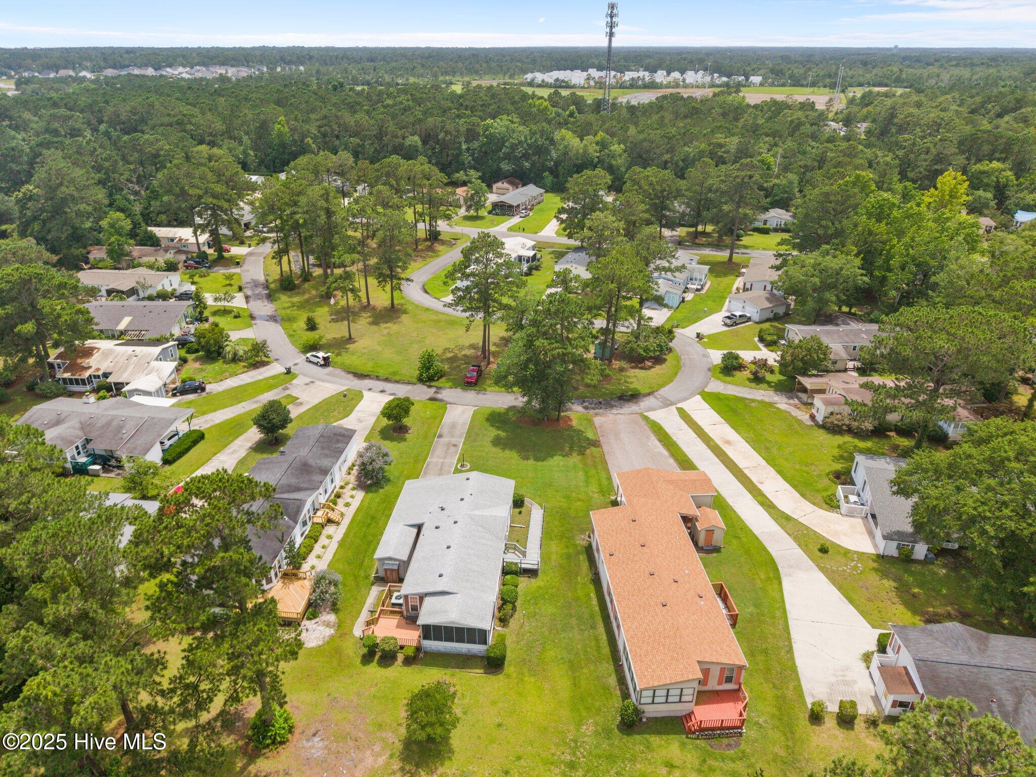 100514117 | Photo 53