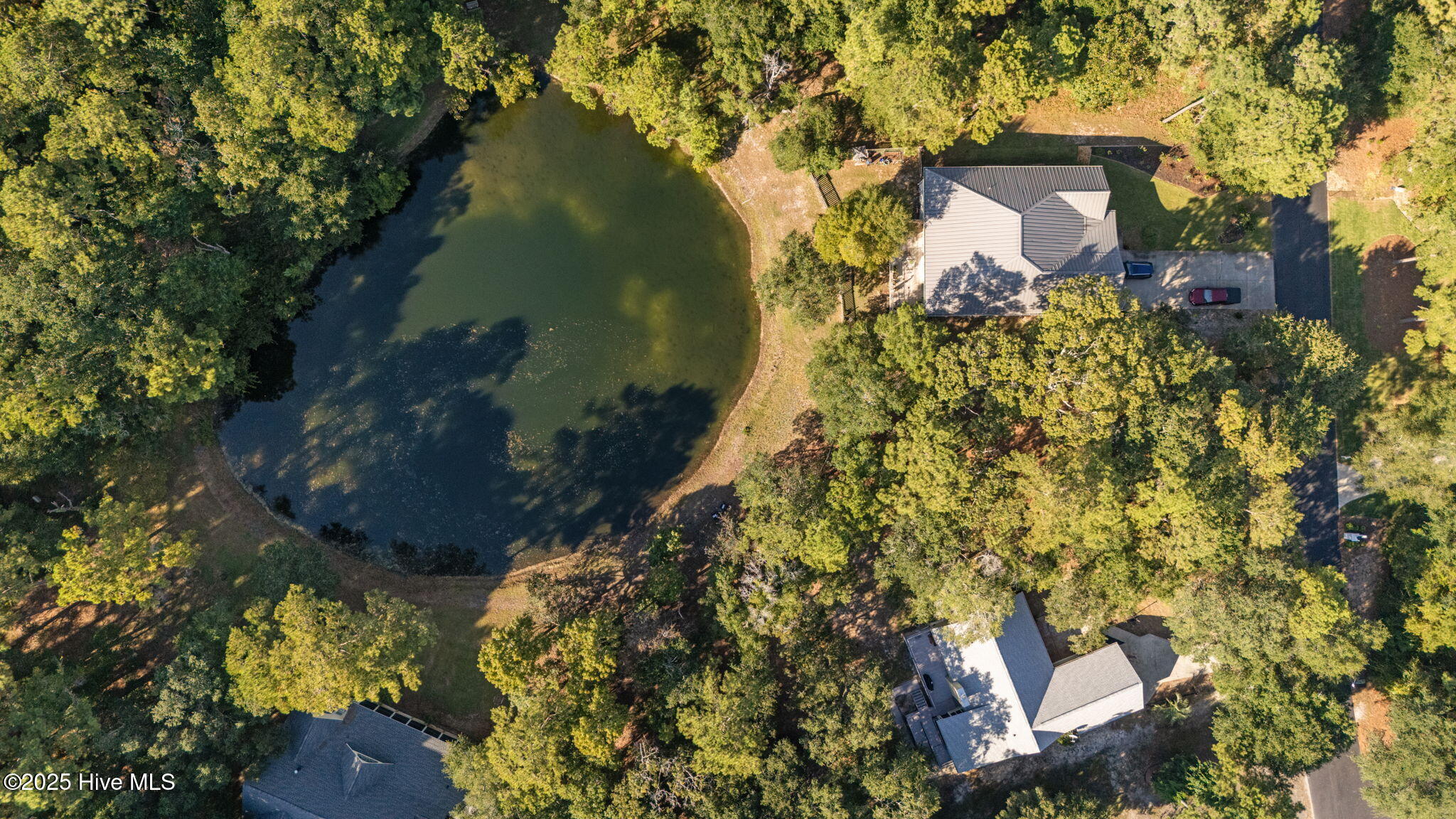 100533176 | Photo 20