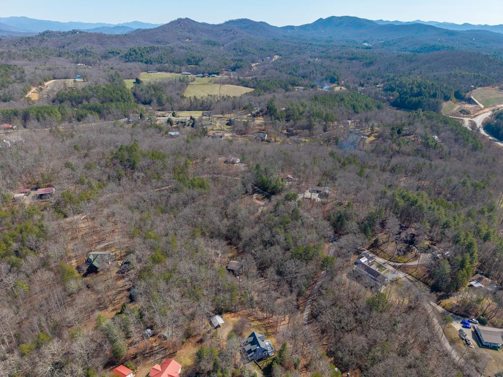 71 Mountain Willow Lane, Murphy, NC 28906 Listing Photo  44