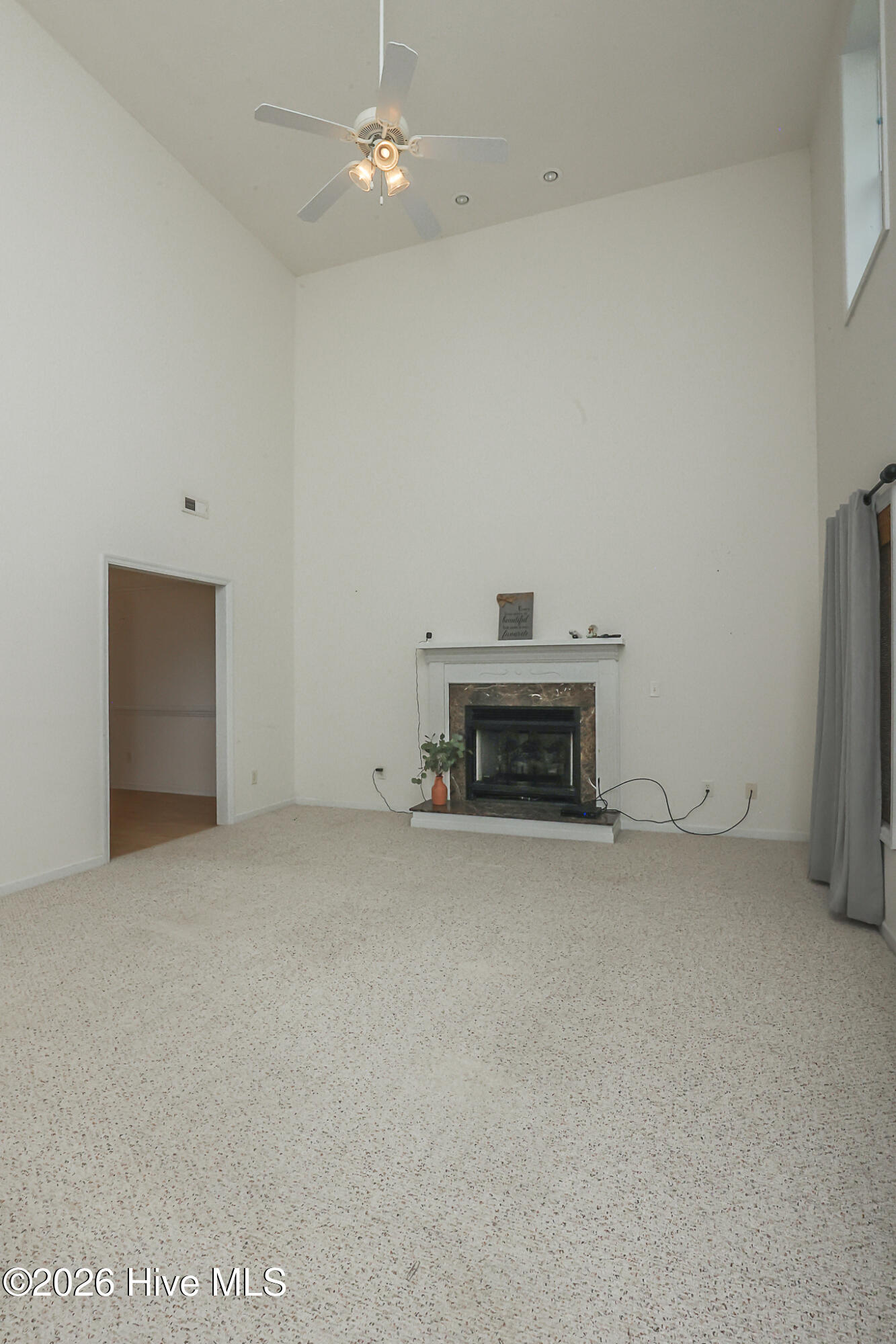100581975 | Photo 12