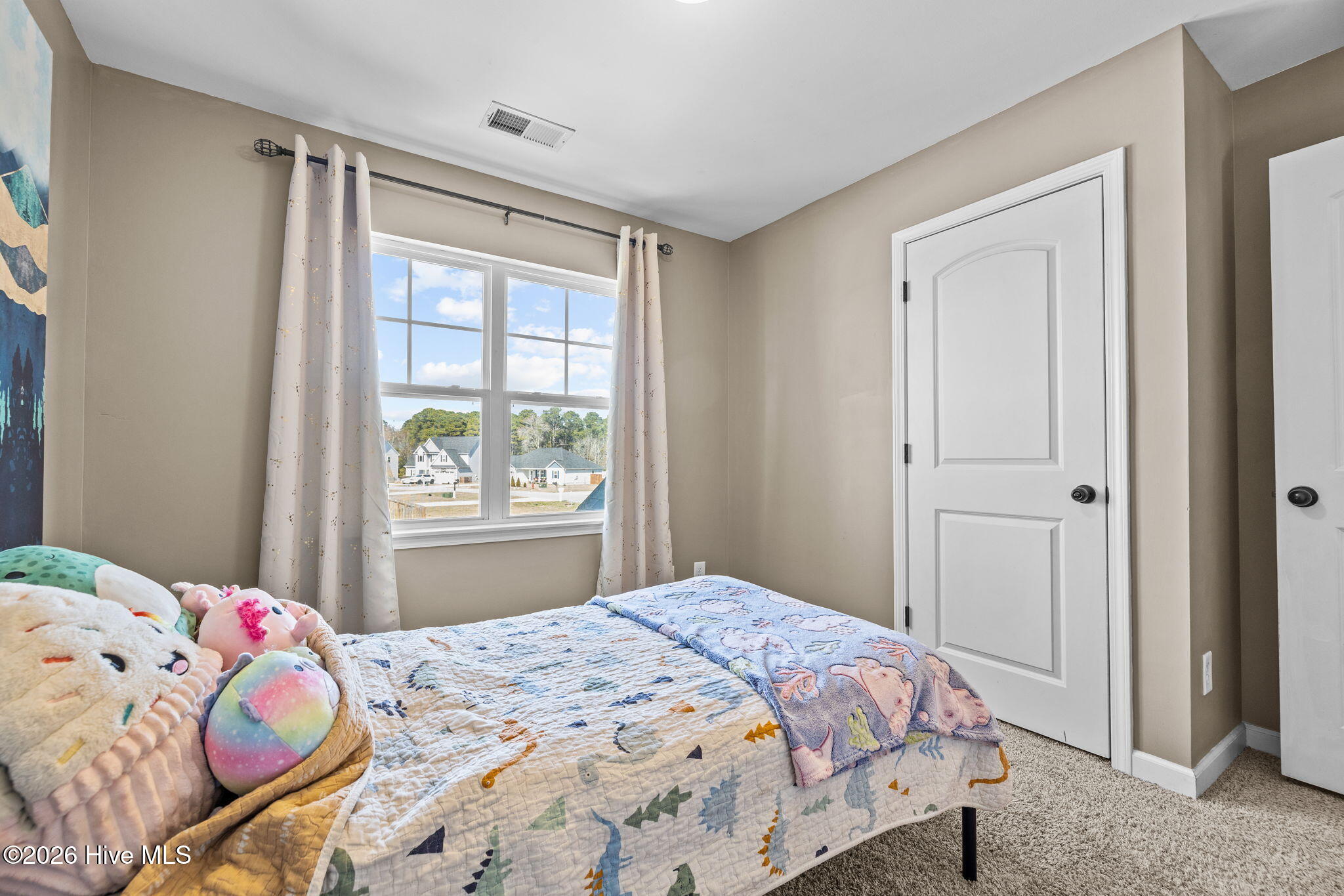 100558227 | Photo 27