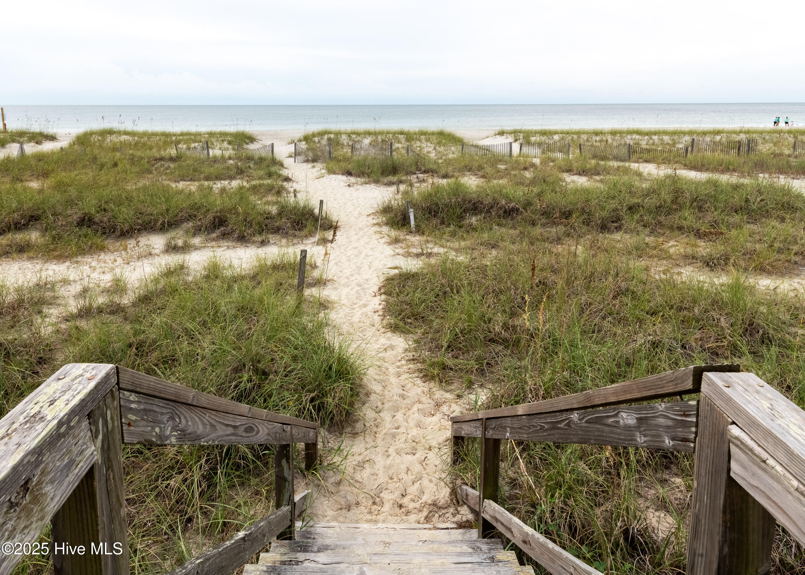 100557462 | Photo 15