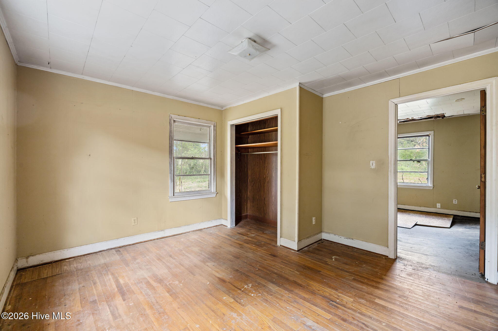 100565134 | Photo 26