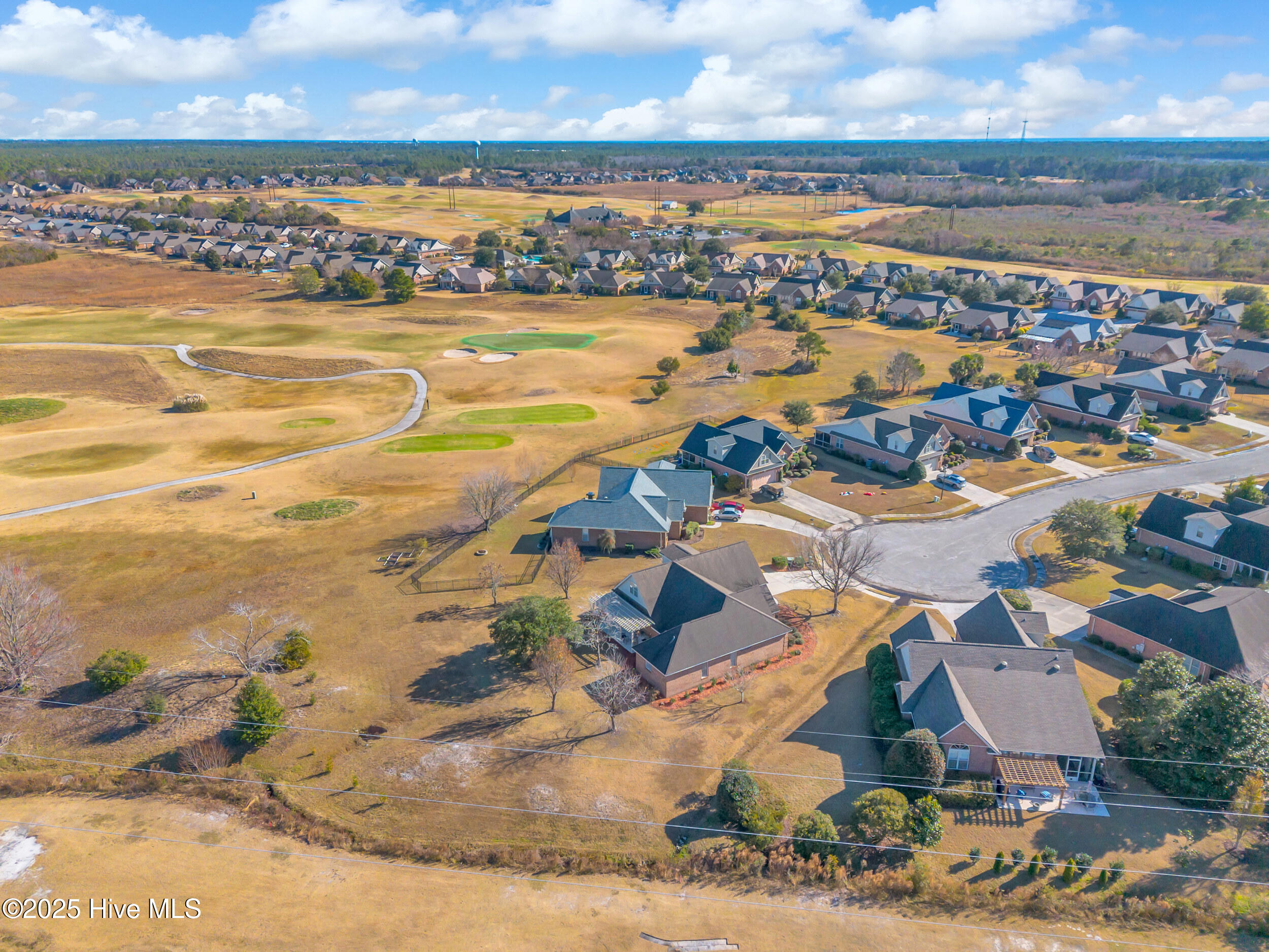 100543526 | Photo 58