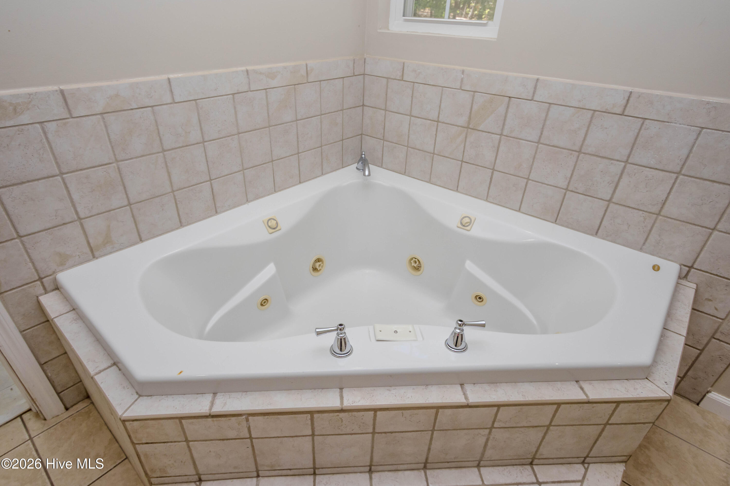 Owner's Bathroom