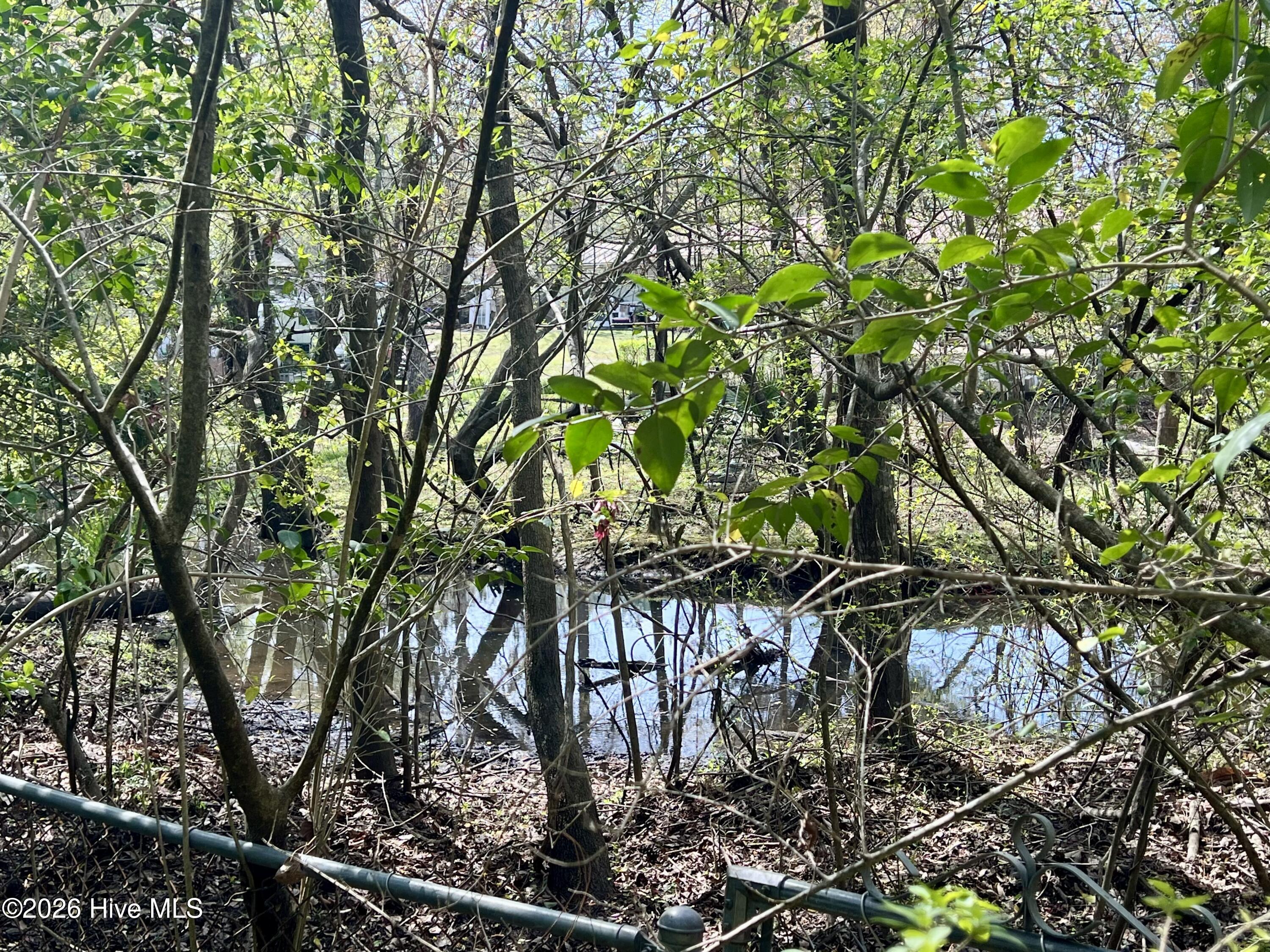 100562853 | Photo 24