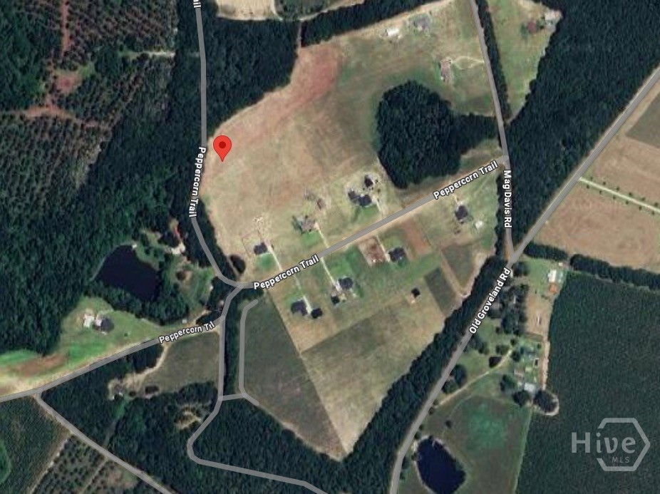 Homes for sale in Pembroke, GA | 0 Peppercorn Trl, Pembroke, GA 31321 | MLS# SA335417