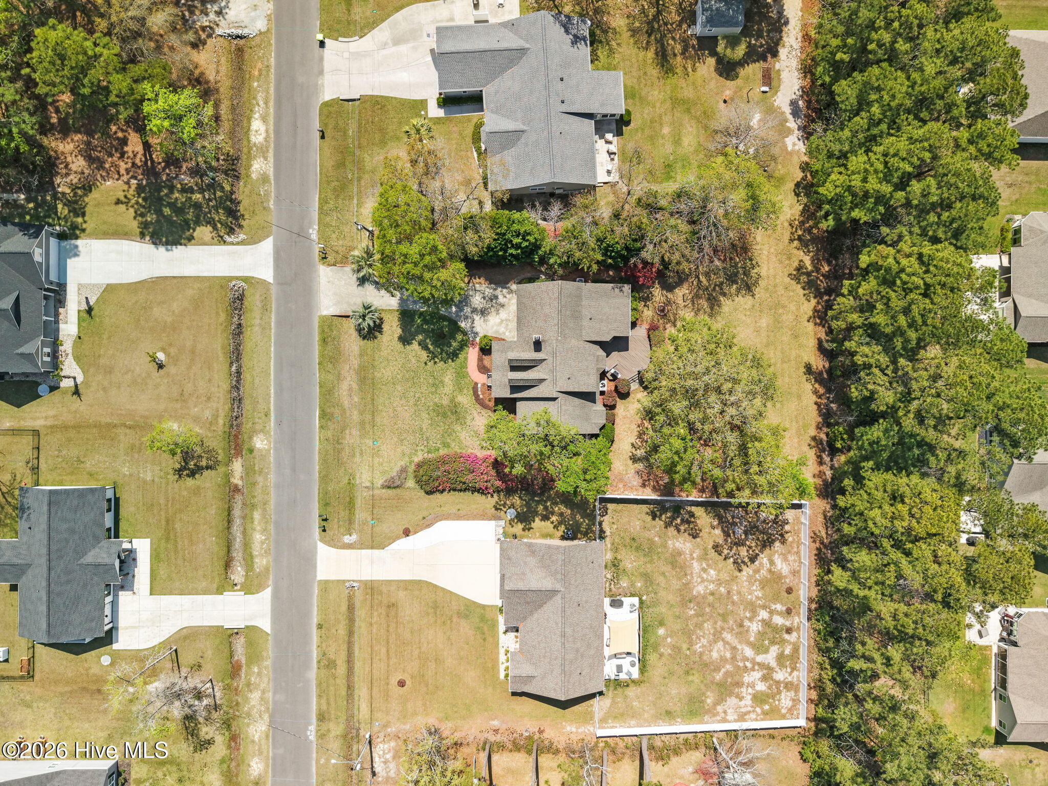 100564721 | Photo 66