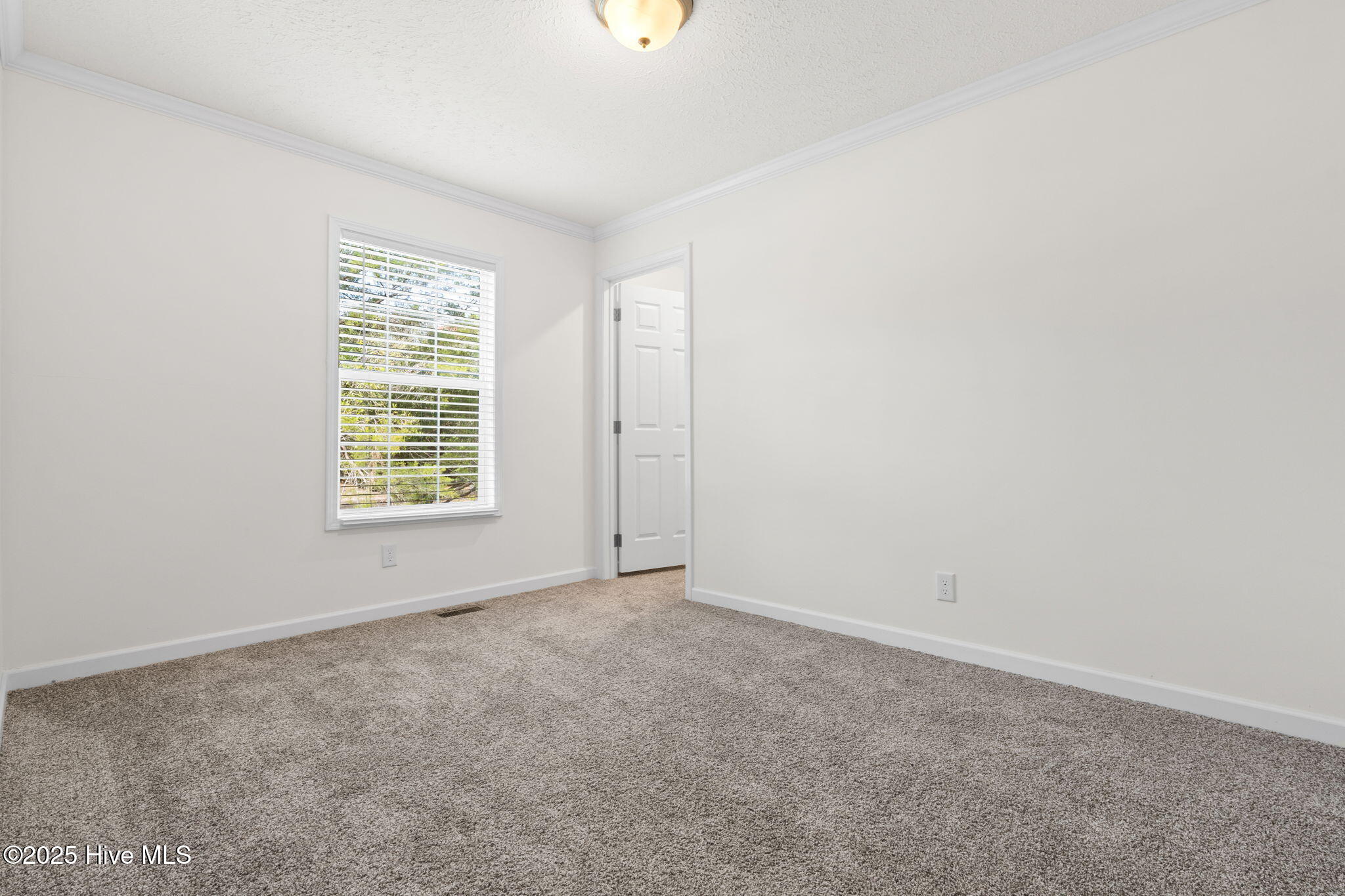 100542585 | Photo 19