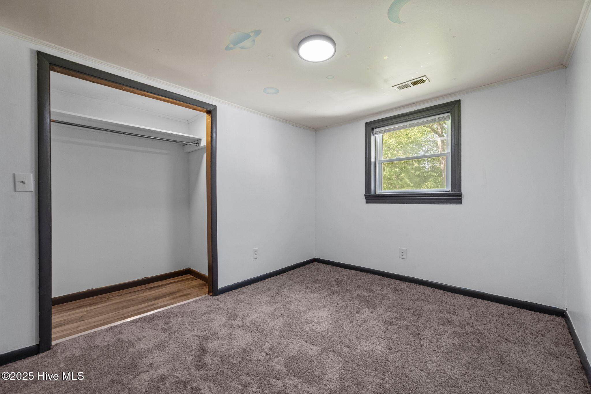 100534081 | Photo 31