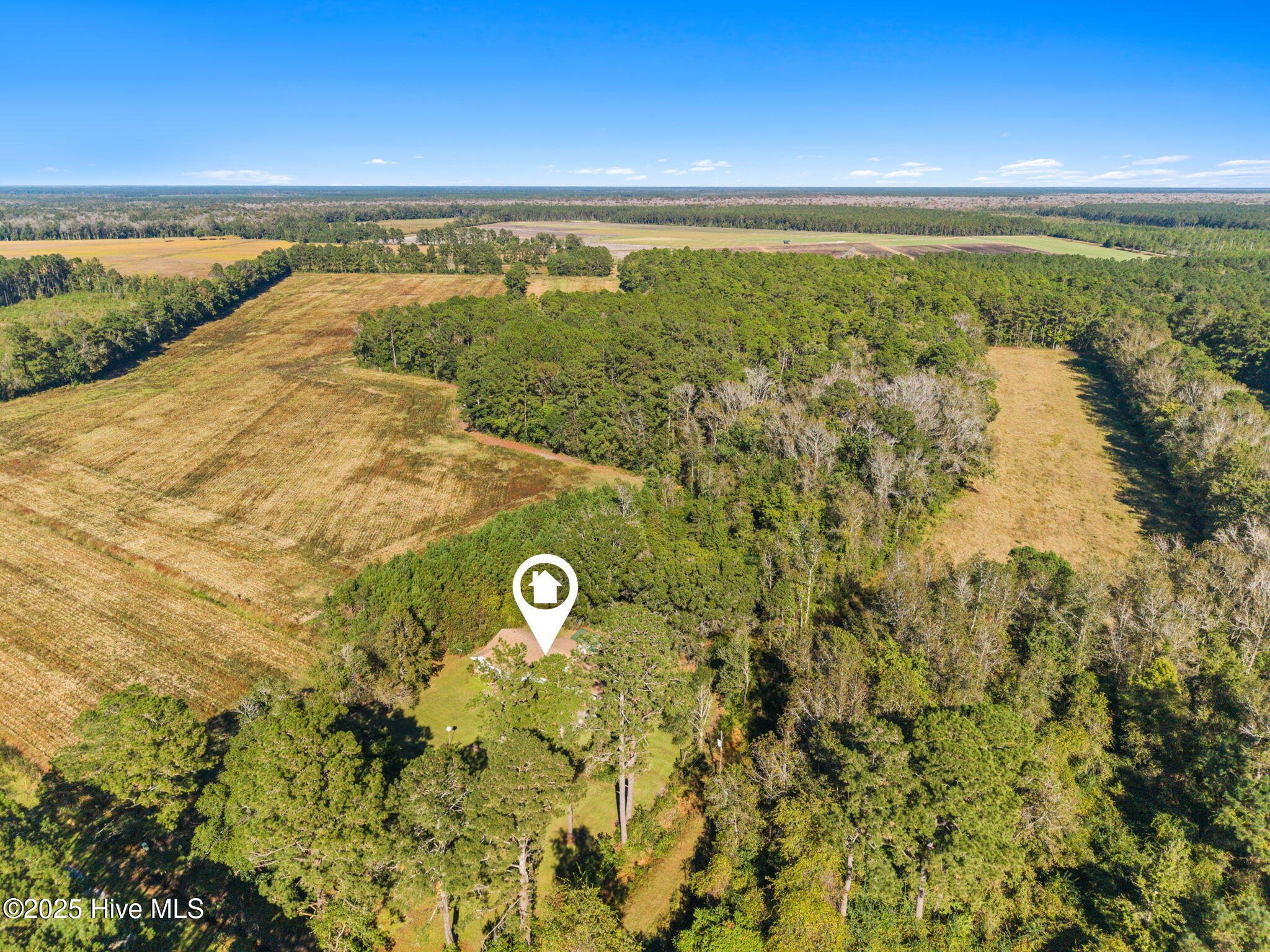 100537275 | Photo 25