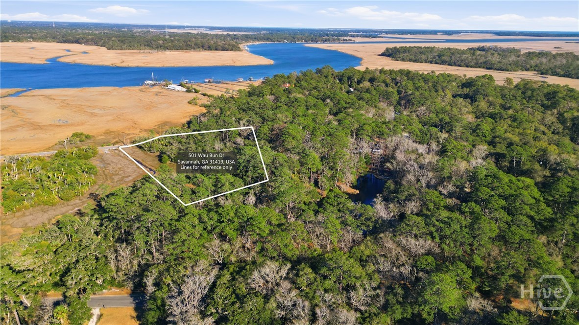 501 Wau Bun Drive, Savannah, GA, 31419