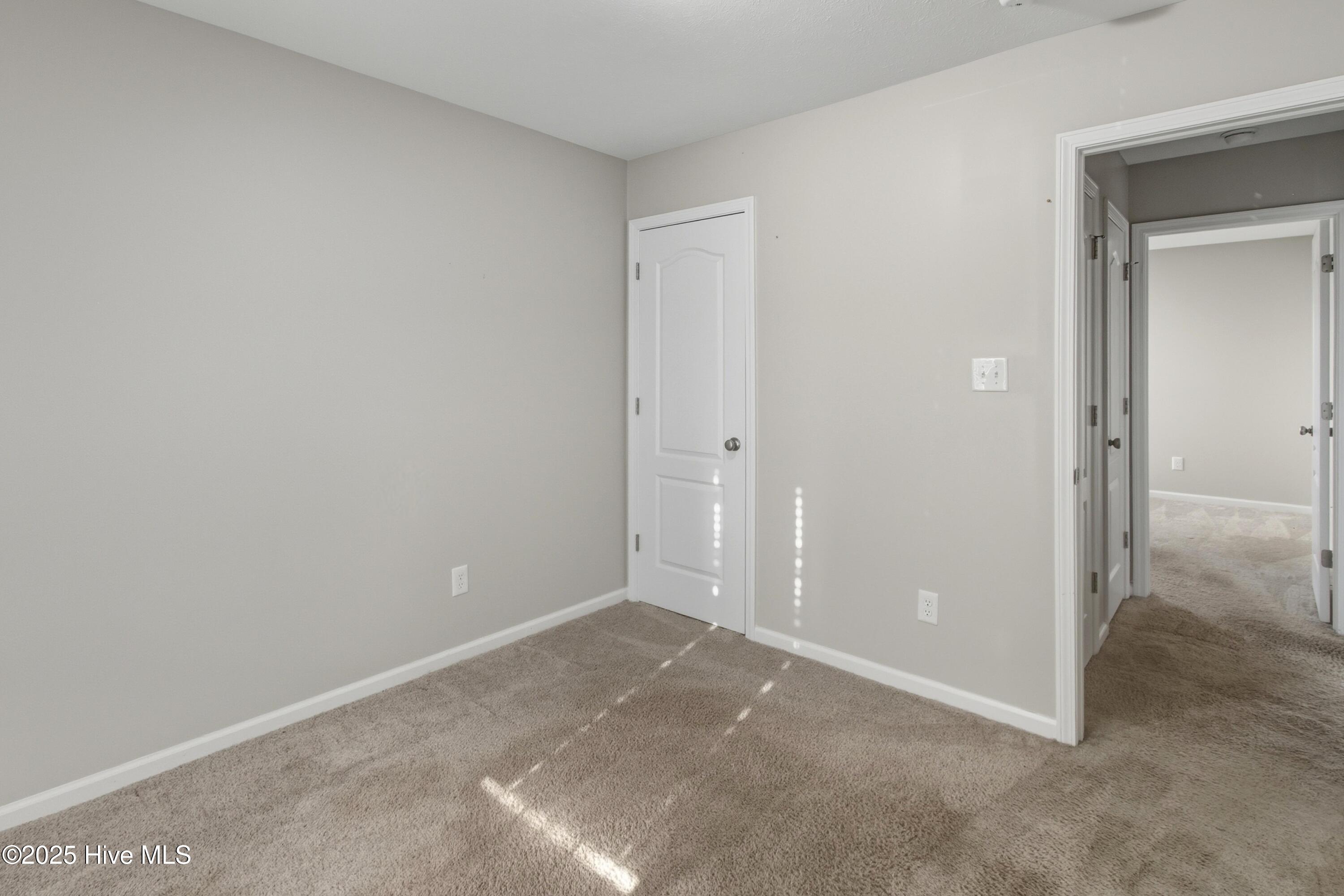 100541237 | Photo 23