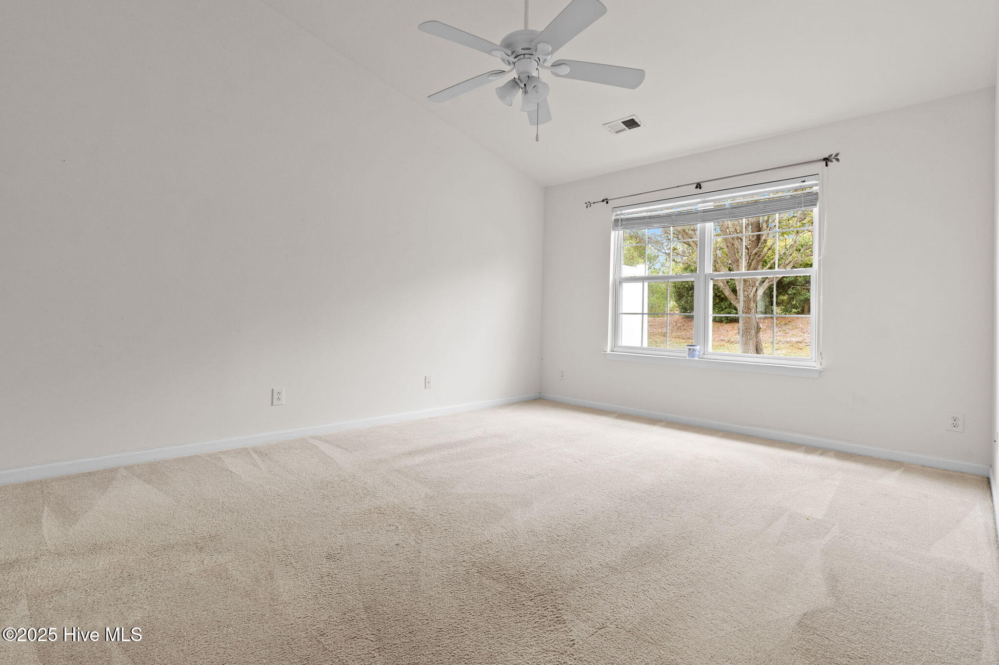 100536152 | Photo 26