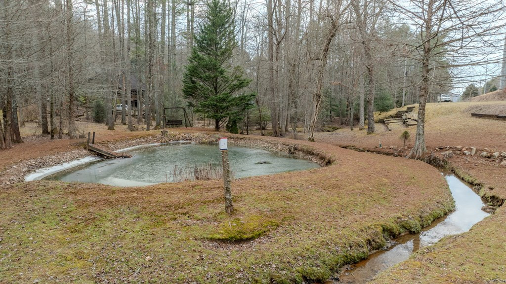2130 Hedden Road, Murphy, NC 28906 Listing Photo  3