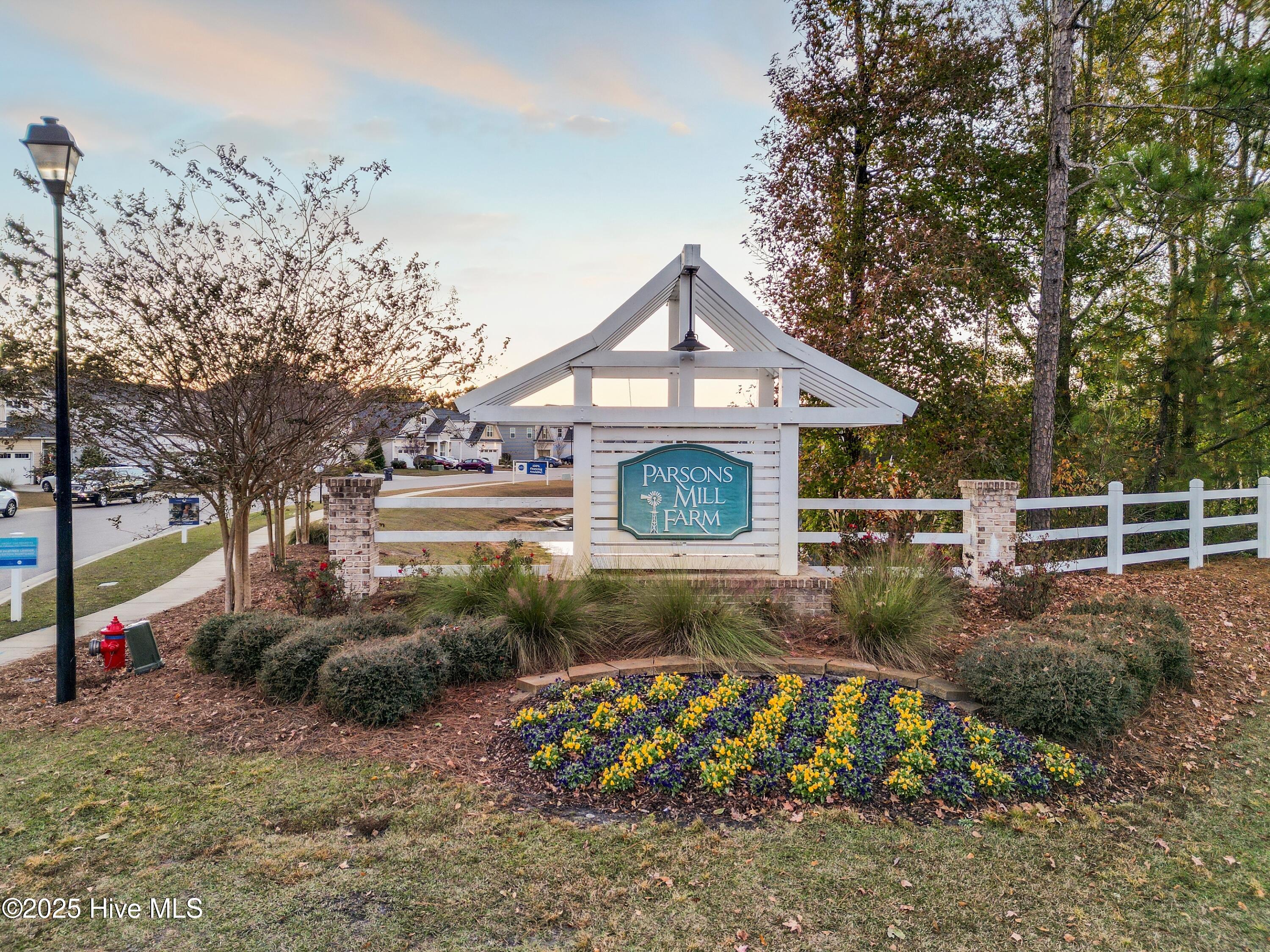 100539123 | Photo 54